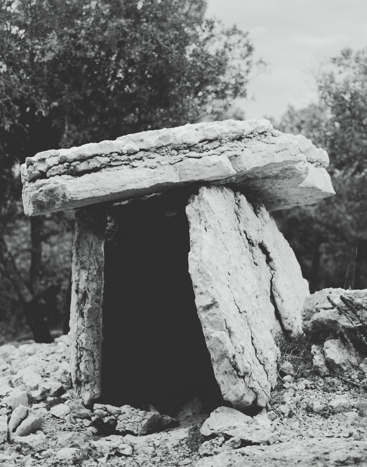 personal - dolmen's forest