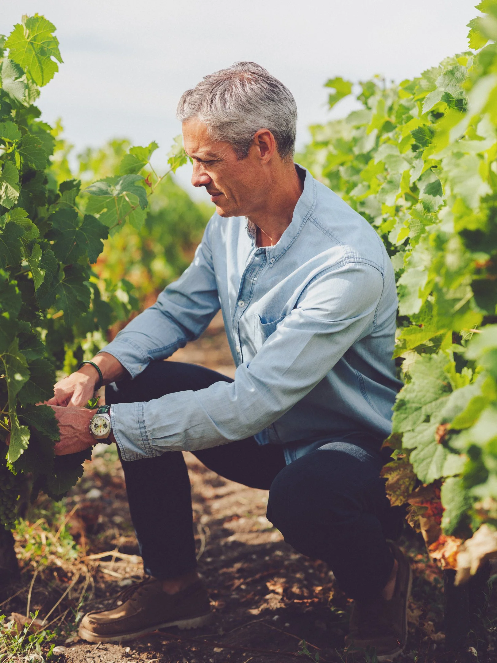 chateau montrose - pierre graffeuille