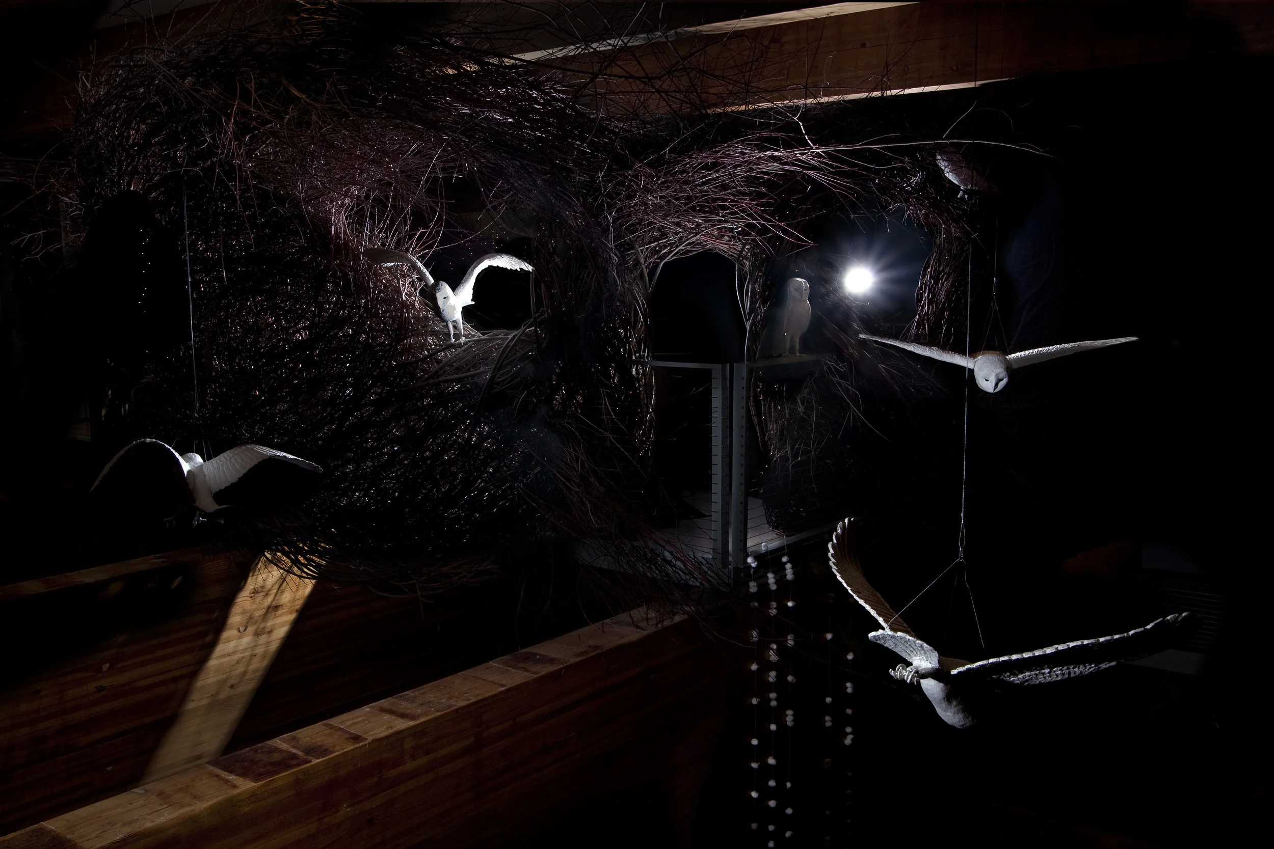 owls_hi_res.jpg