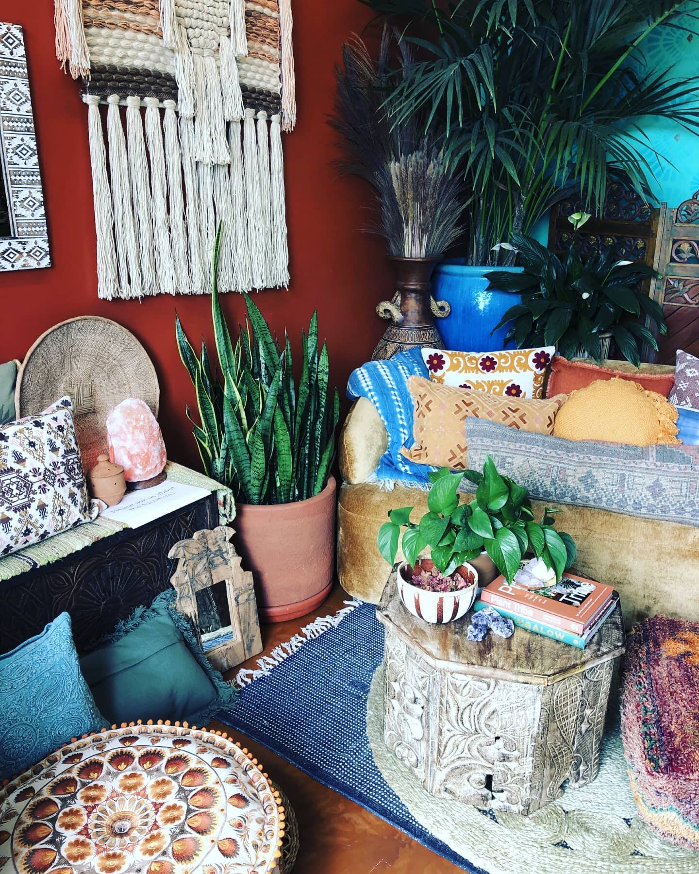 It's just so cozy in here 💚
.
.
.
#liveleafsd #carlsbad #sanmarcos #vista #oceanside #sandiego #encinitas #northcountysandiego #giftgiving #giving #gifts #shoplocal #shopsmall #smallbusiness #smallbusinesssupport #smallbusinesssaturday