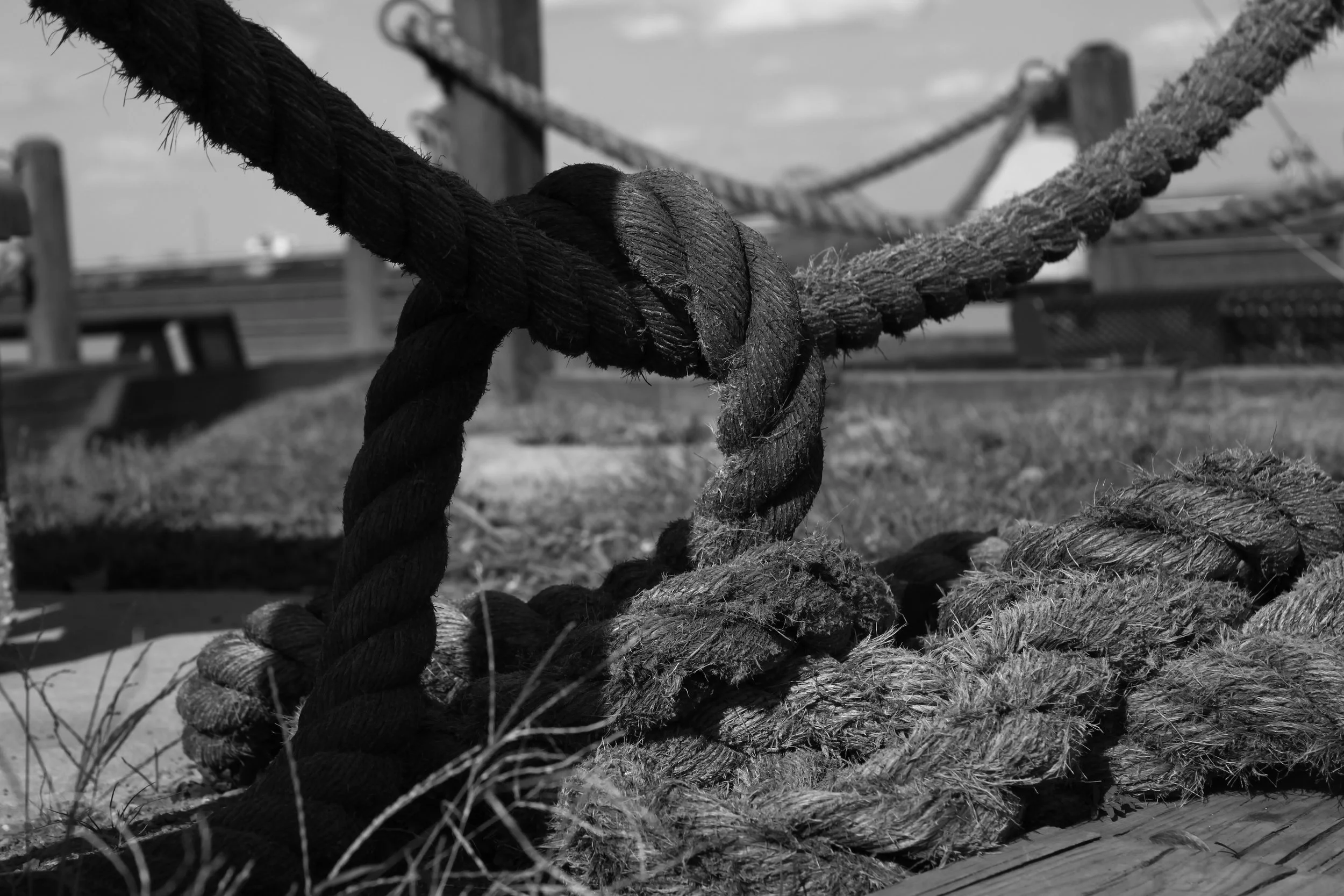 _MG_1063.JPG