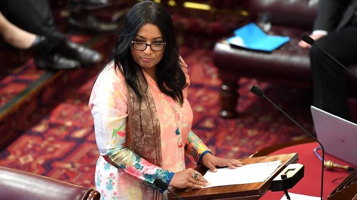 Greens MP Dr Mehreen Faruqi speaks before a vote on the NSW bill to decriminalise abortion in the Legislative Council at the NSW Parliament House in Sydney (AAP)