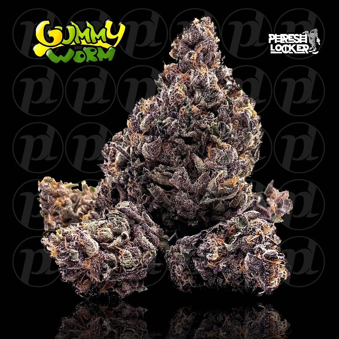 Gummy Worms freshly trimmed look Lit 😍 @lit.farms damn that thing is bomb 👌🏻💪🏻 #gummyworms #cannabis #canna #flower #purple #bomb #fire #litfarms #nursery #clone #teens #clones