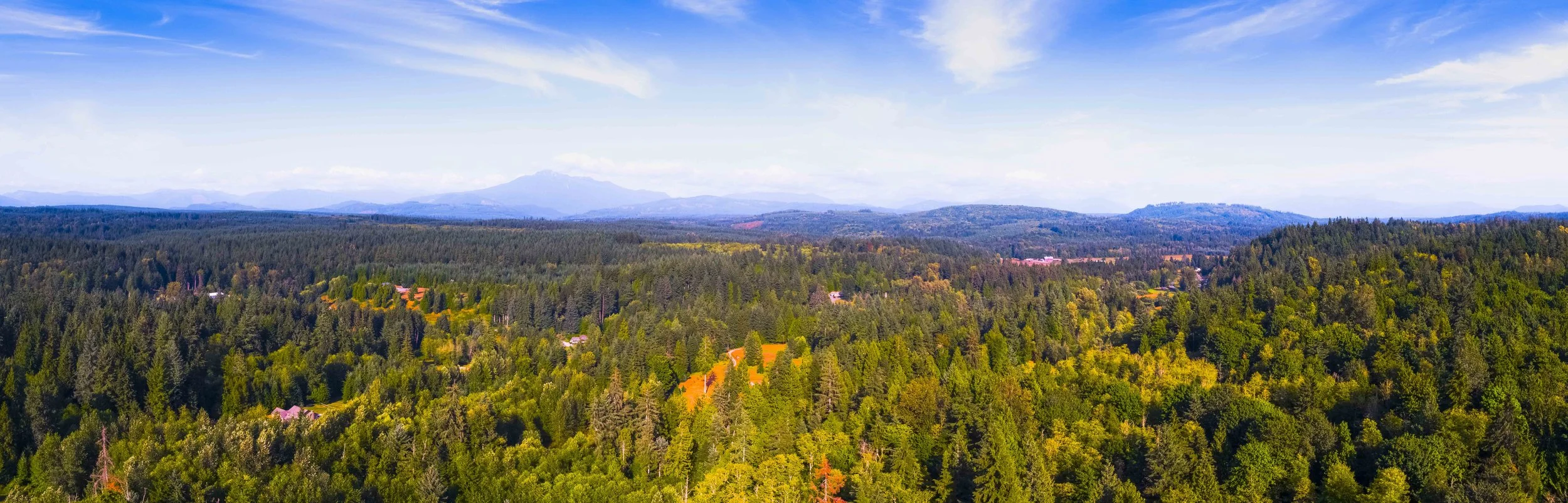 Pano-2.jpg