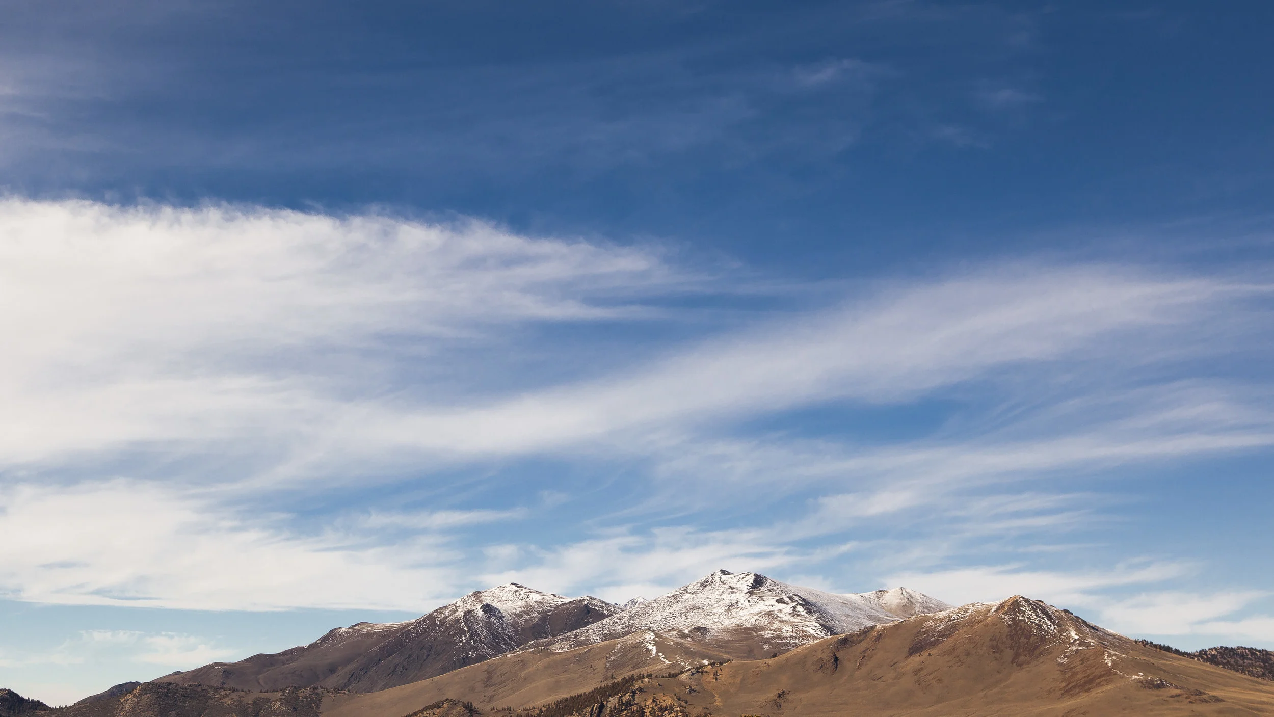 _MG_1545.jpg