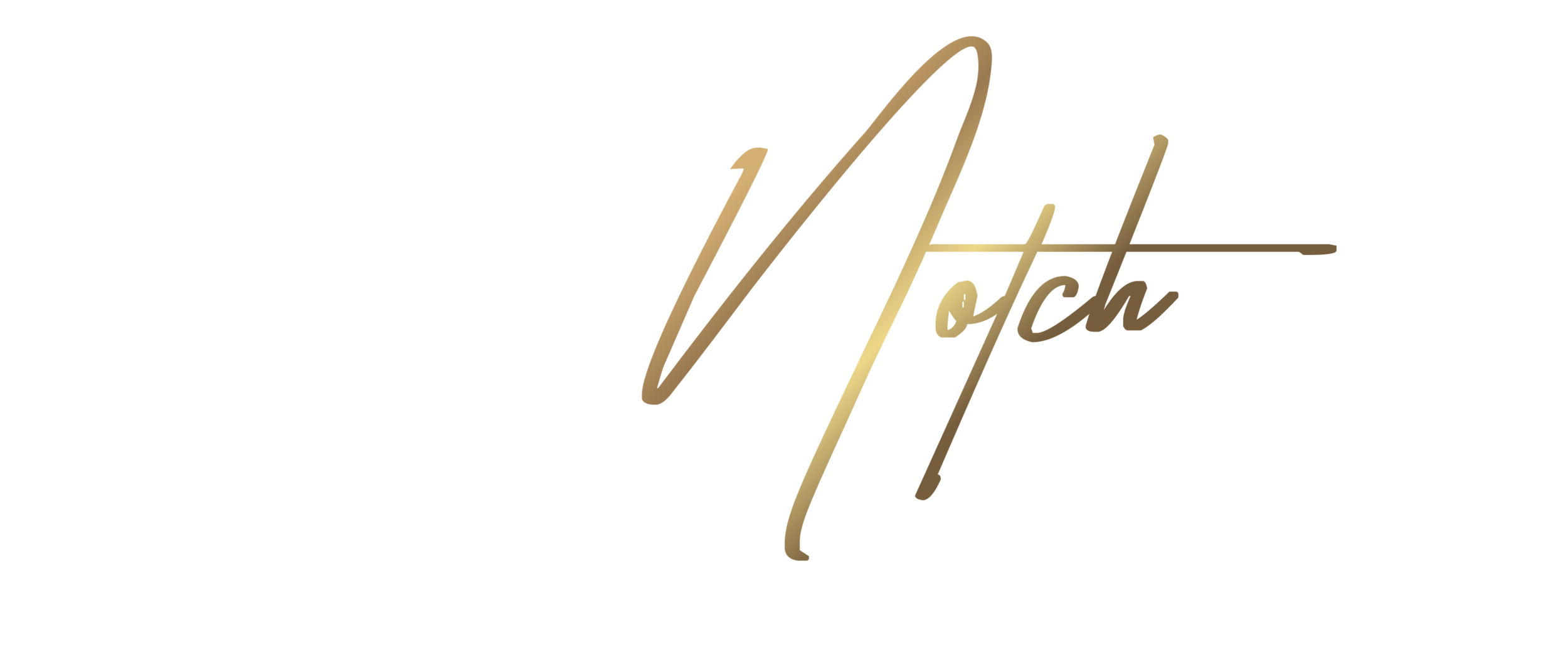 filmnotch_main logo for dark bc watermark.png