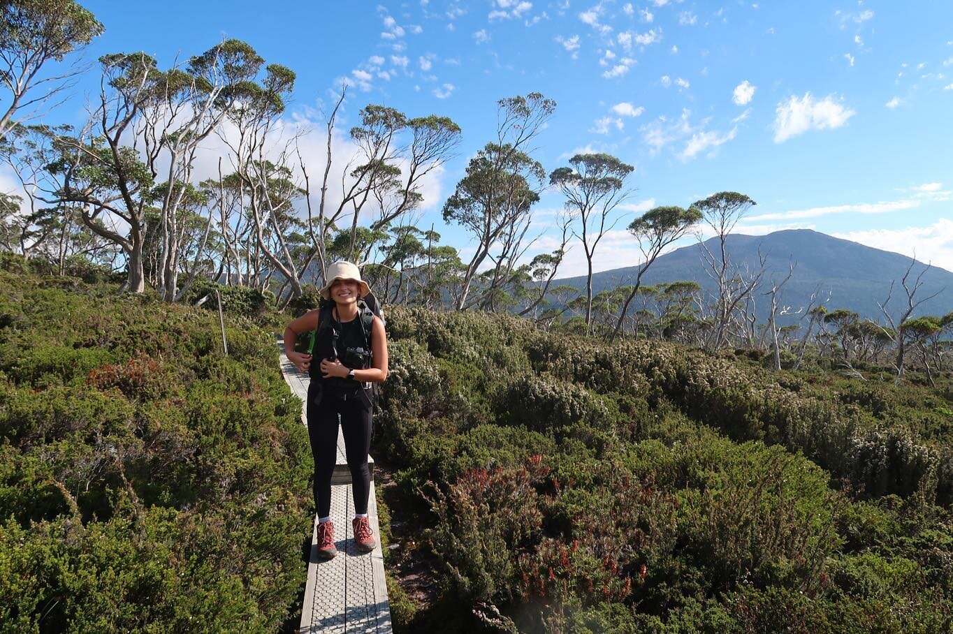 Once upon a time (three weeks ago), I got a phone call from a magical kingdom in a faraway land (Parks and Wildlife Tasmania) that went (almost exactly) like this:

PWT: Hey, want to walk really far?
KEL: Yep. 

So last week, @ellenrobertss and I wal