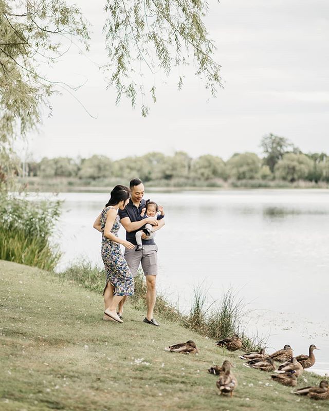 Dance like there's nobody watching, but be careful not to step on the ducks 💃🦆
.
.
.
.
.
.
#highpark #tpphotooftheday #torontofamilyphotographer #thefamilycollective #torontocouple #the_sweet_life_unscripted #familylifestyle #enchantedchildhood #ev