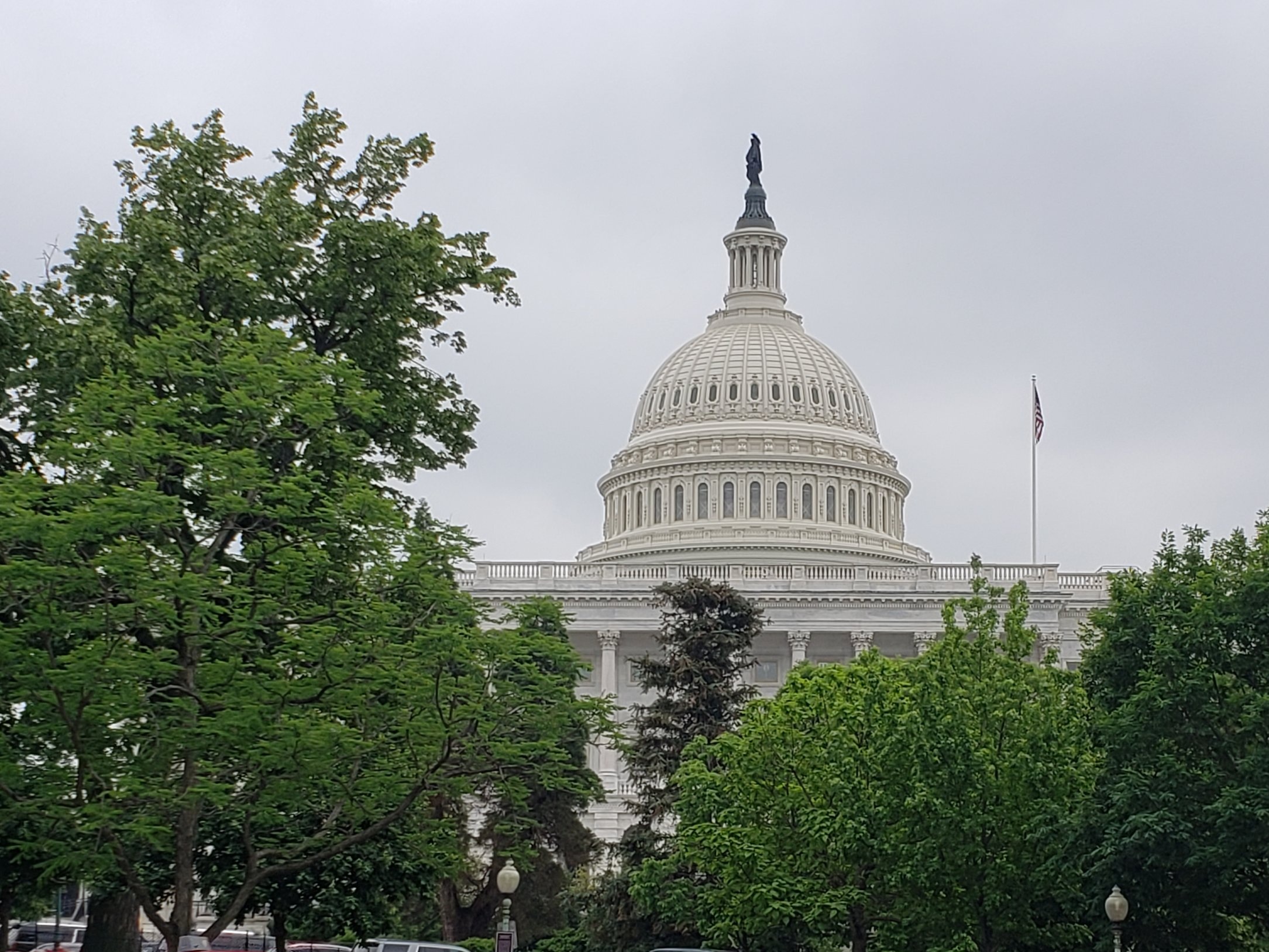 Advocacy Updates and Action Items