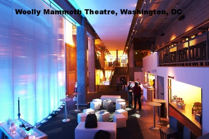 Woolly Mammoth Theatre Lobby, Washington, DC