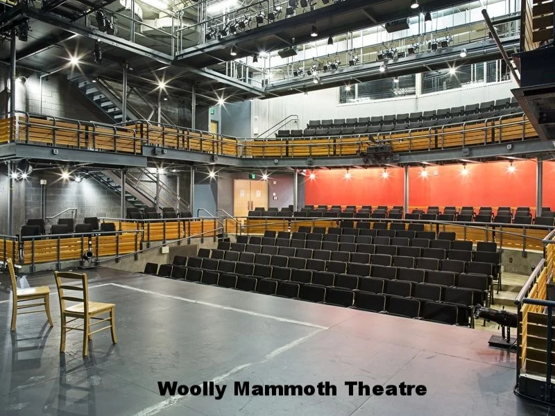 Woolly Mammoth INT.jpg