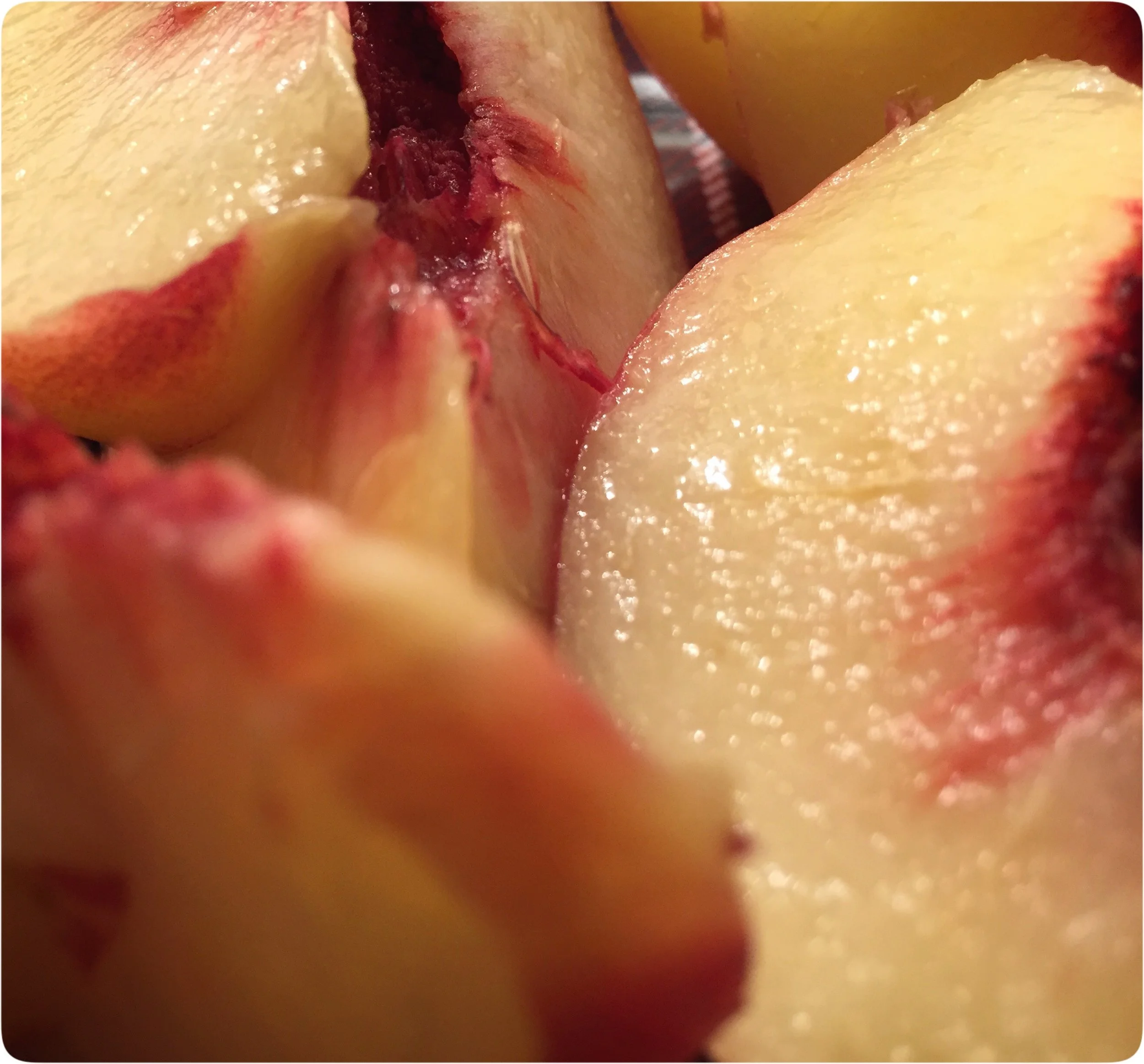 Wet Peaches.jpeg