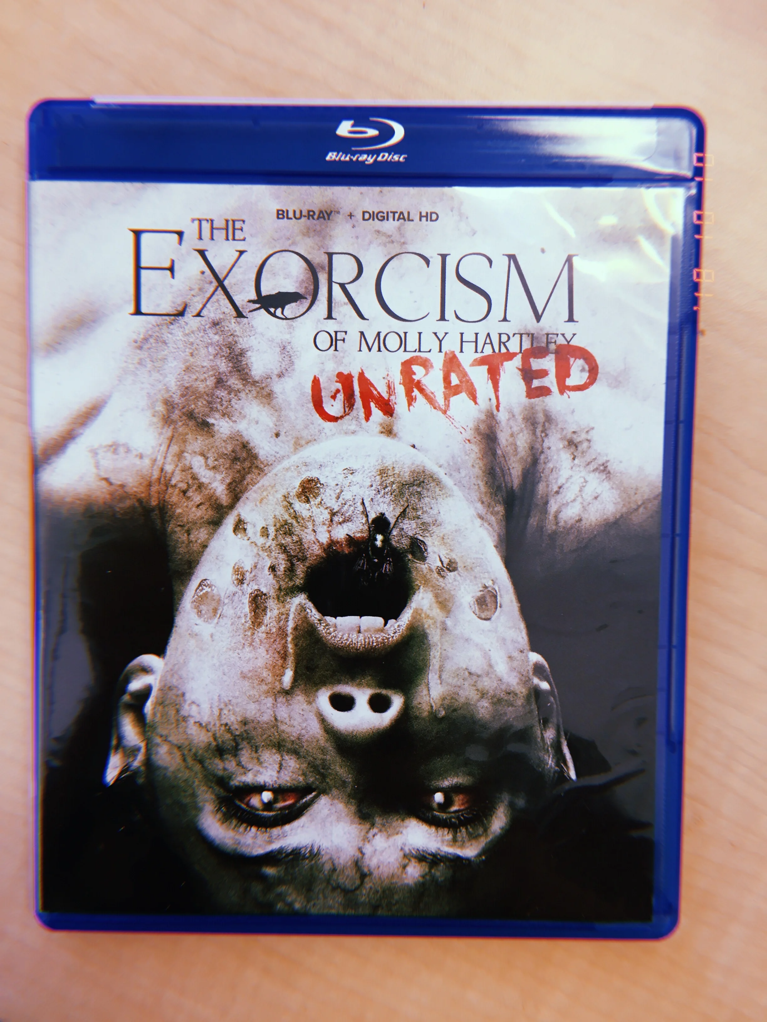 The Exorcism of Molly Hartley (2015) - the sequel to The Haunting of Molly Hartley (2008)