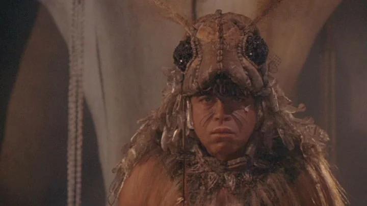 This guy: I am your father. Luke Skywalker: No, you’re not. You’re a guy dressed like a giant bug. This guy: Fair point. (Rubs legs together. Leaves)