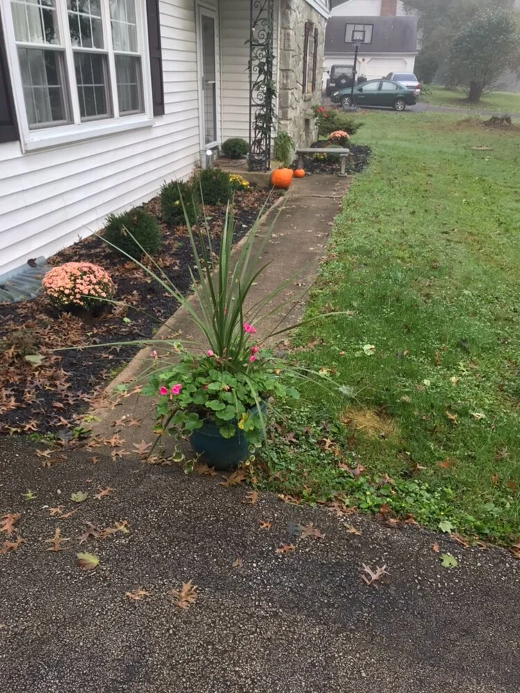 Paver walkway (before)