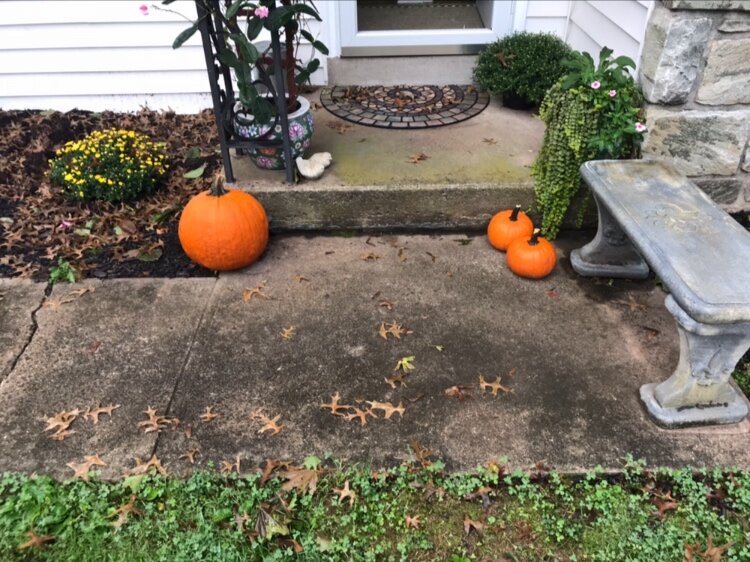 Paver walkway (before)