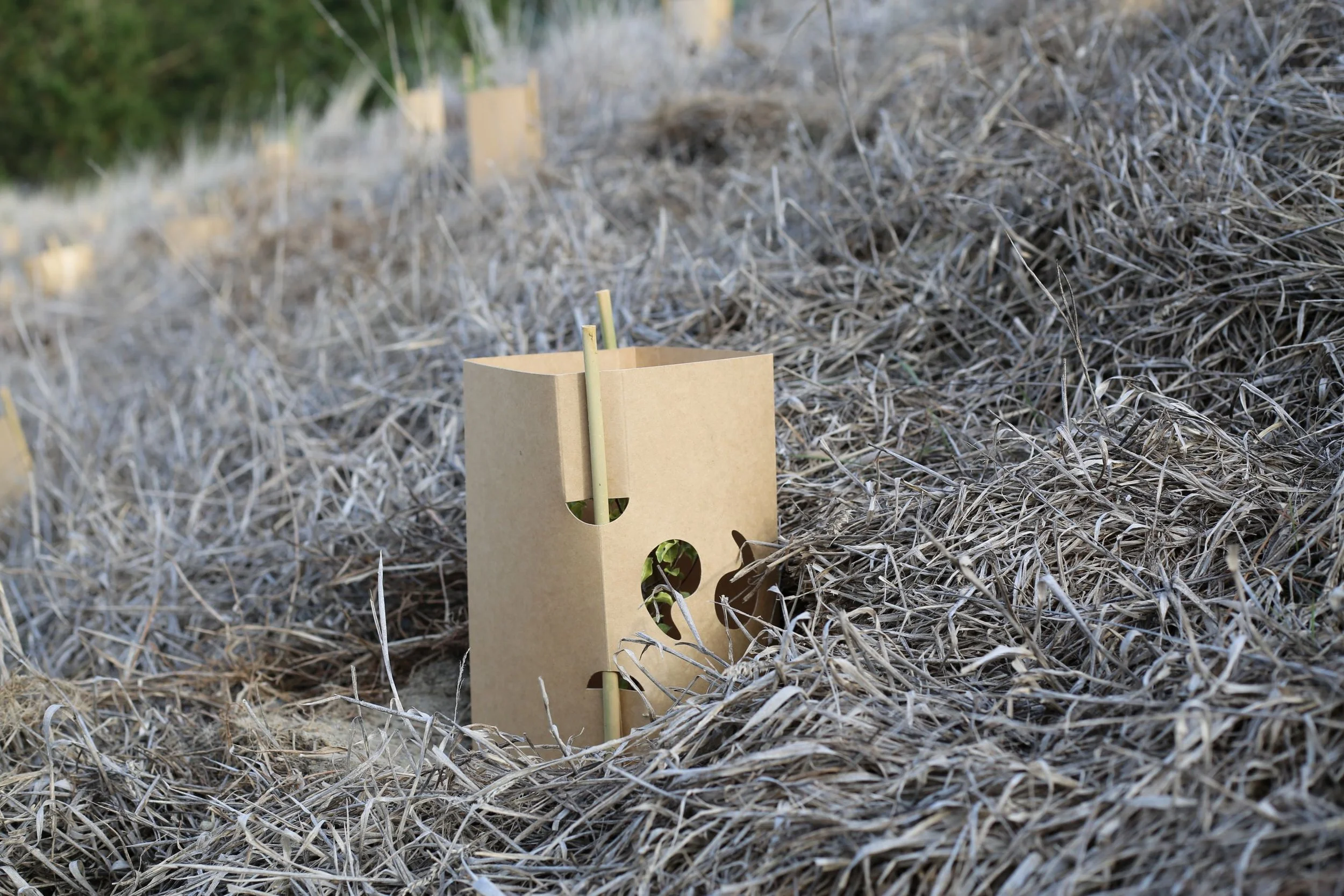 Enviroguard in the wild resized.JPG