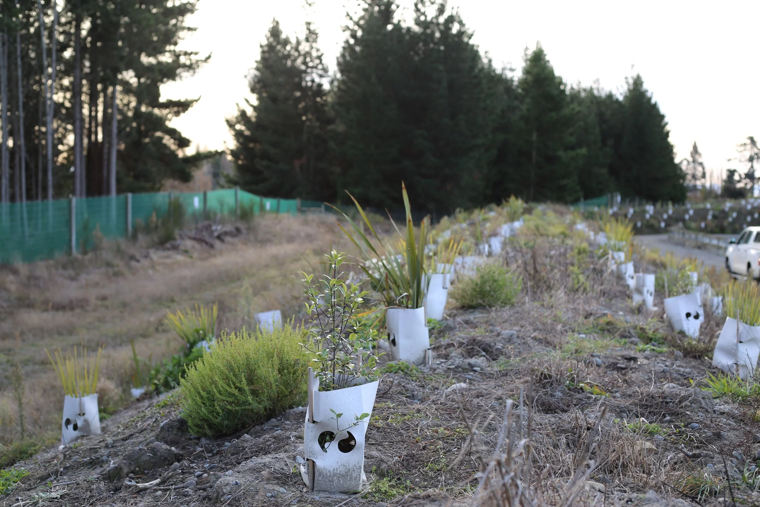 Enviroguard keeping weeds out 2 resized.JPG