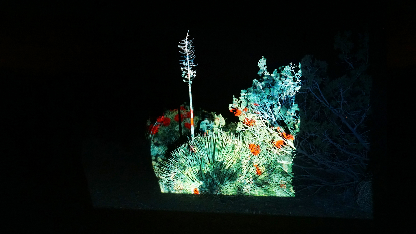 Artwork, Photography, & Design by Max Moriyama and Athena Wisotsky