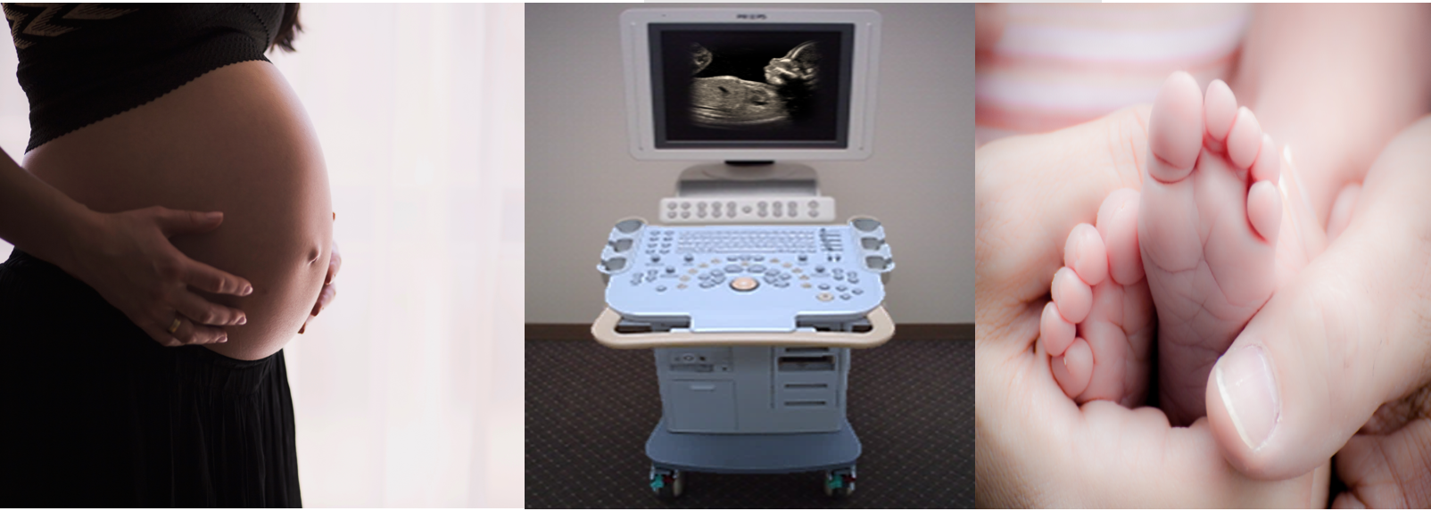 About Us — Kingston Imaging Services (KIS): X-Ray & Ultrasound Services