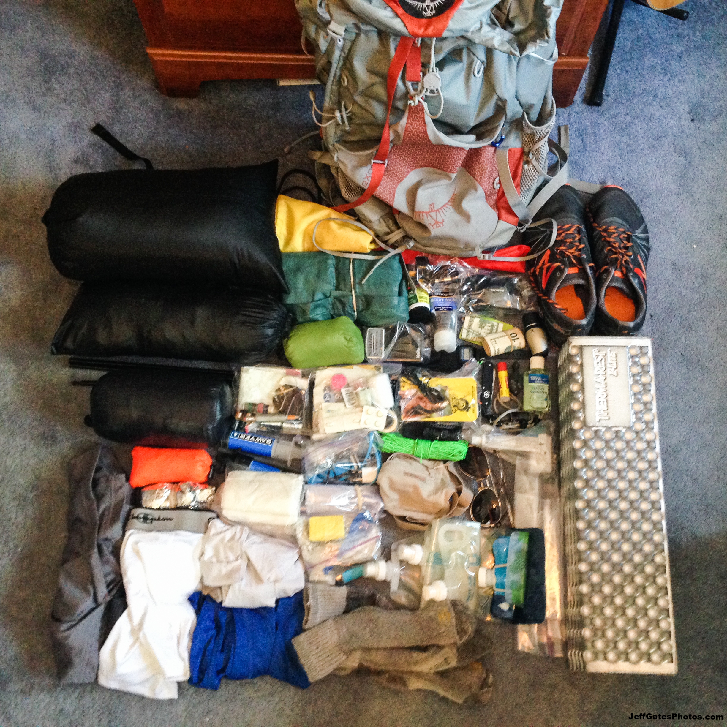 The Gear