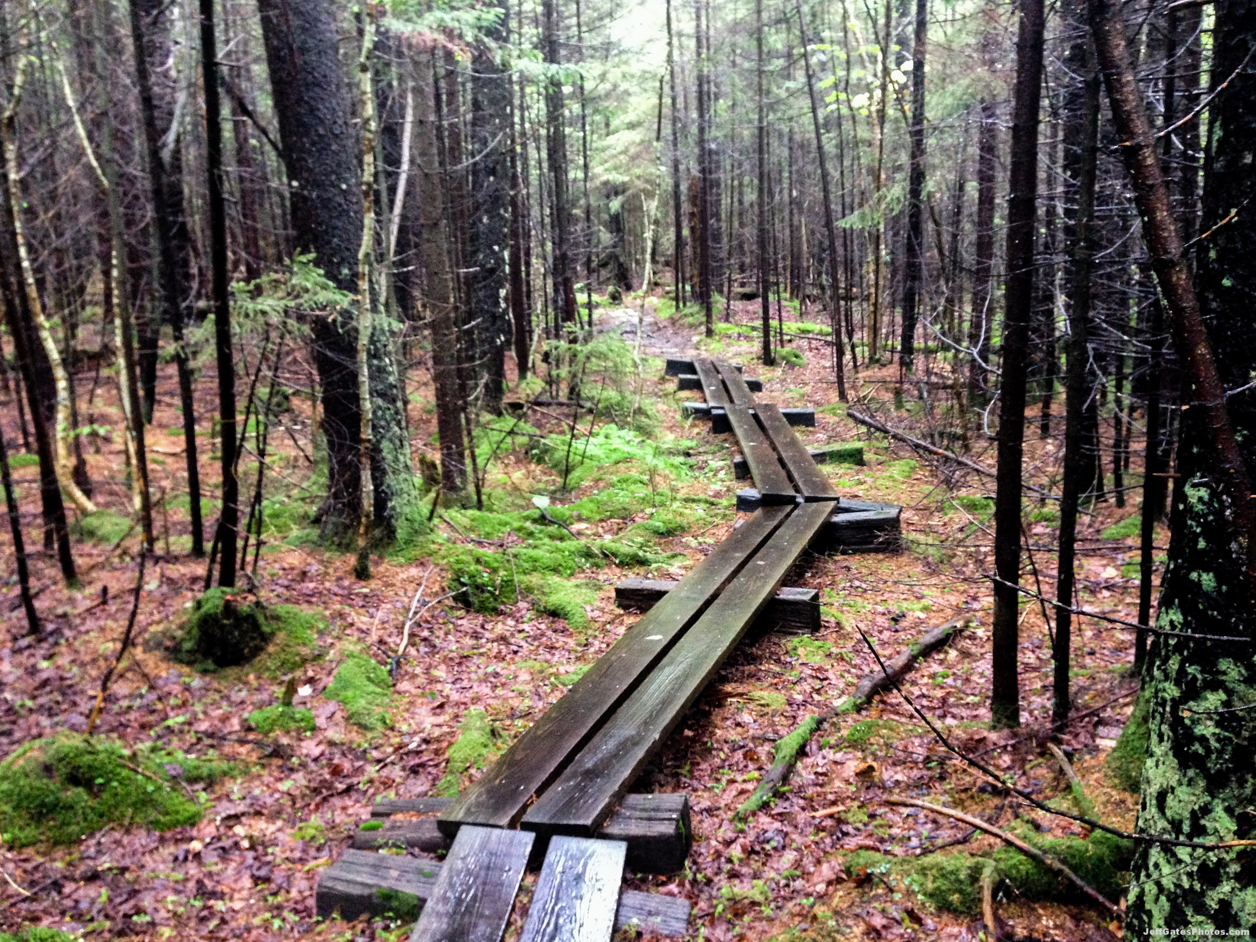 Rainy Trails in Vermont