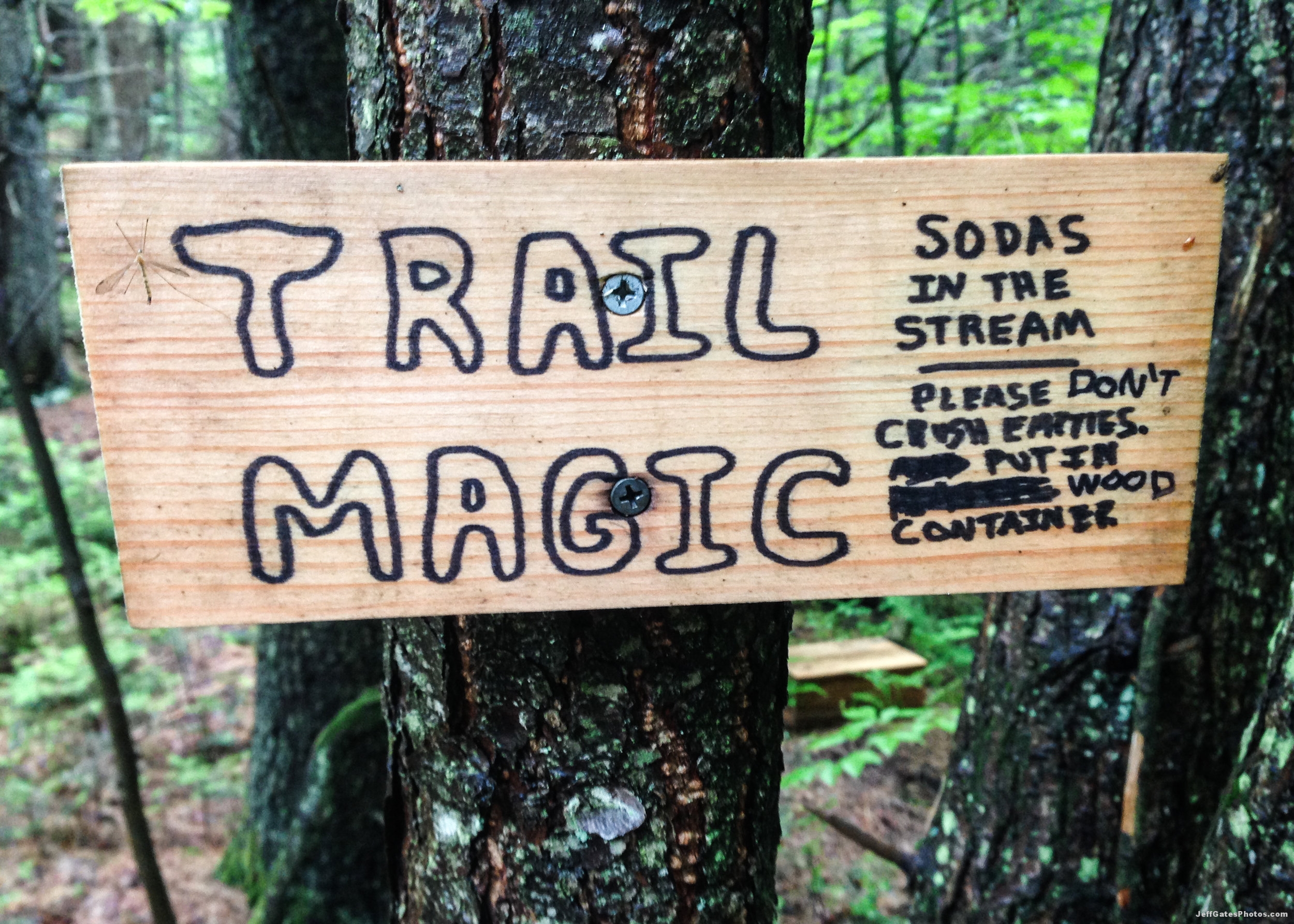 Near Killington, VT
