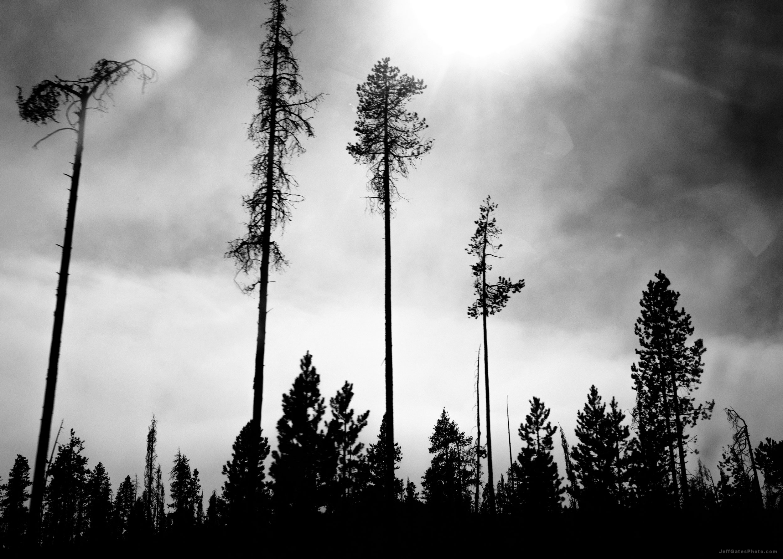 Road to Crater Lake
