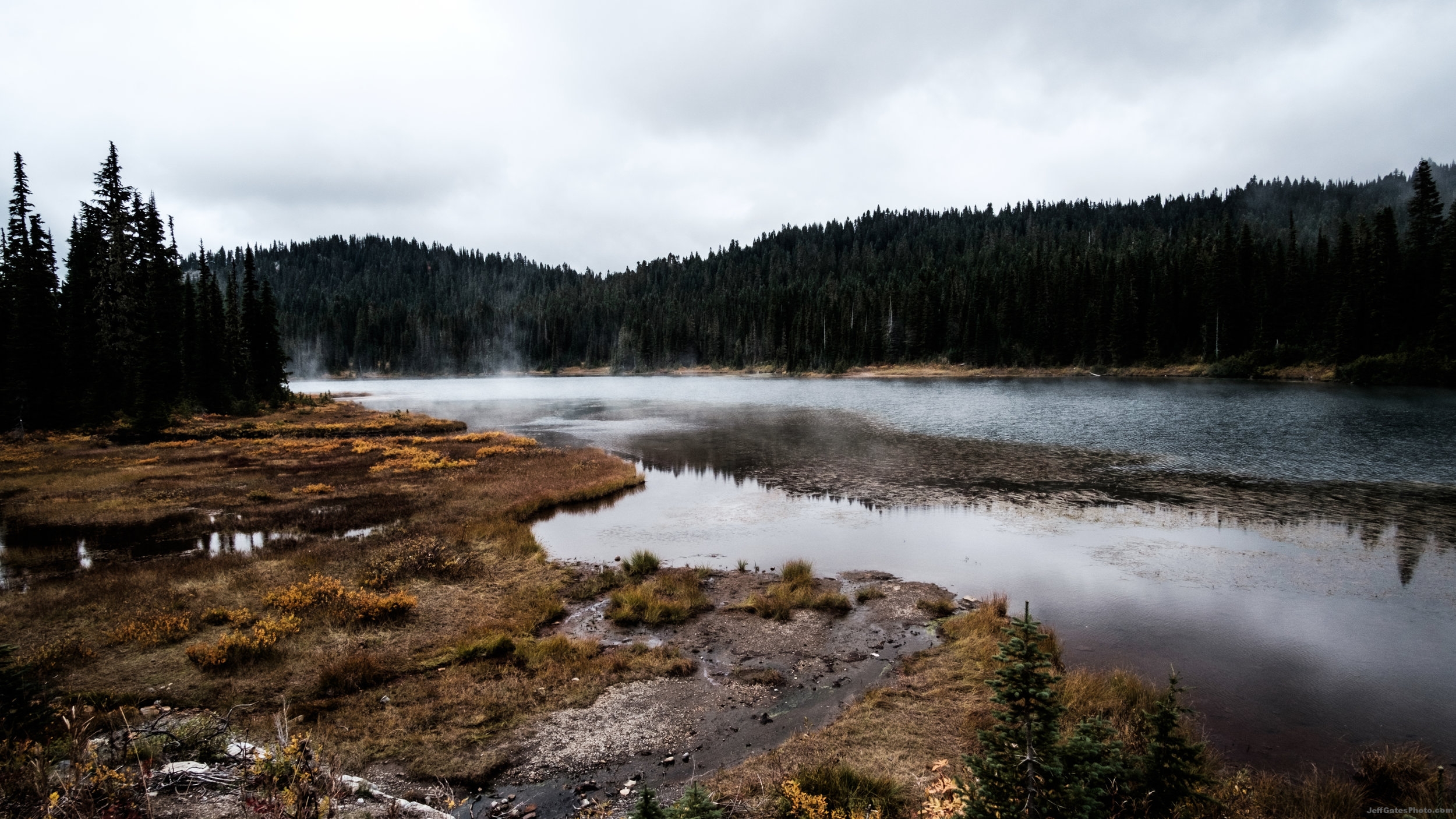 Rainy Day Near Mt Rainier