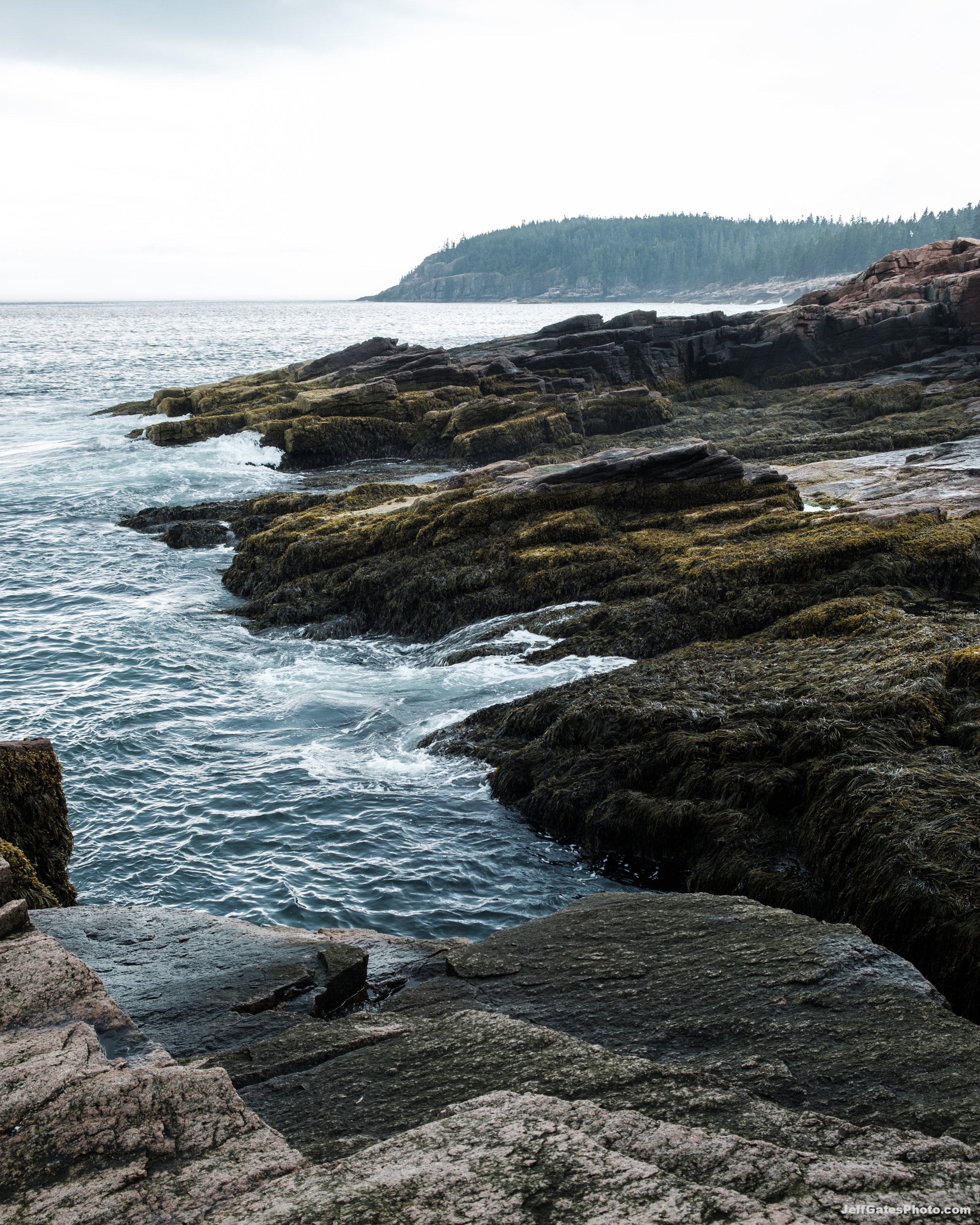 The Rocky Coast of Mount Desert Island
