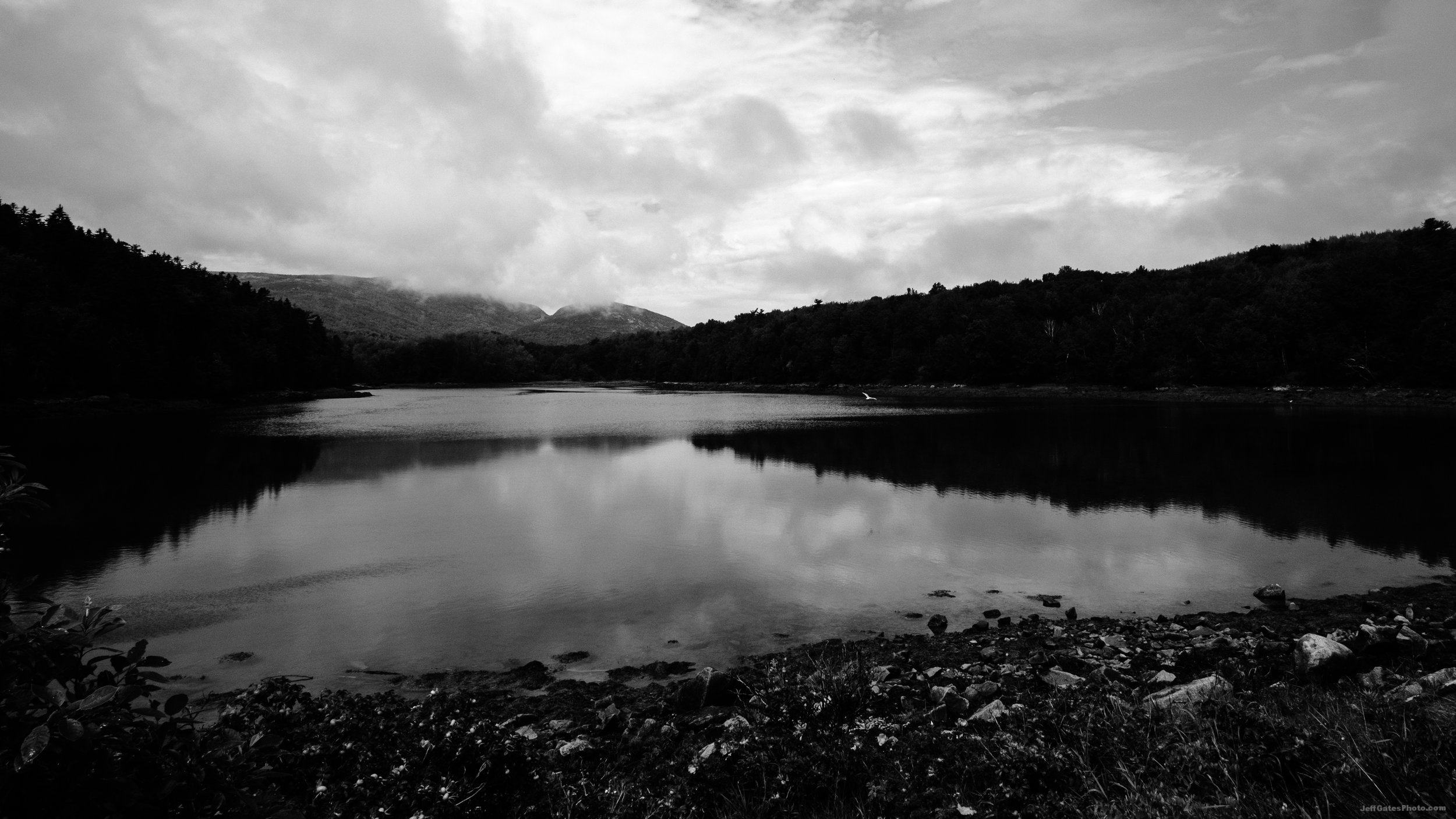 Otter Cove