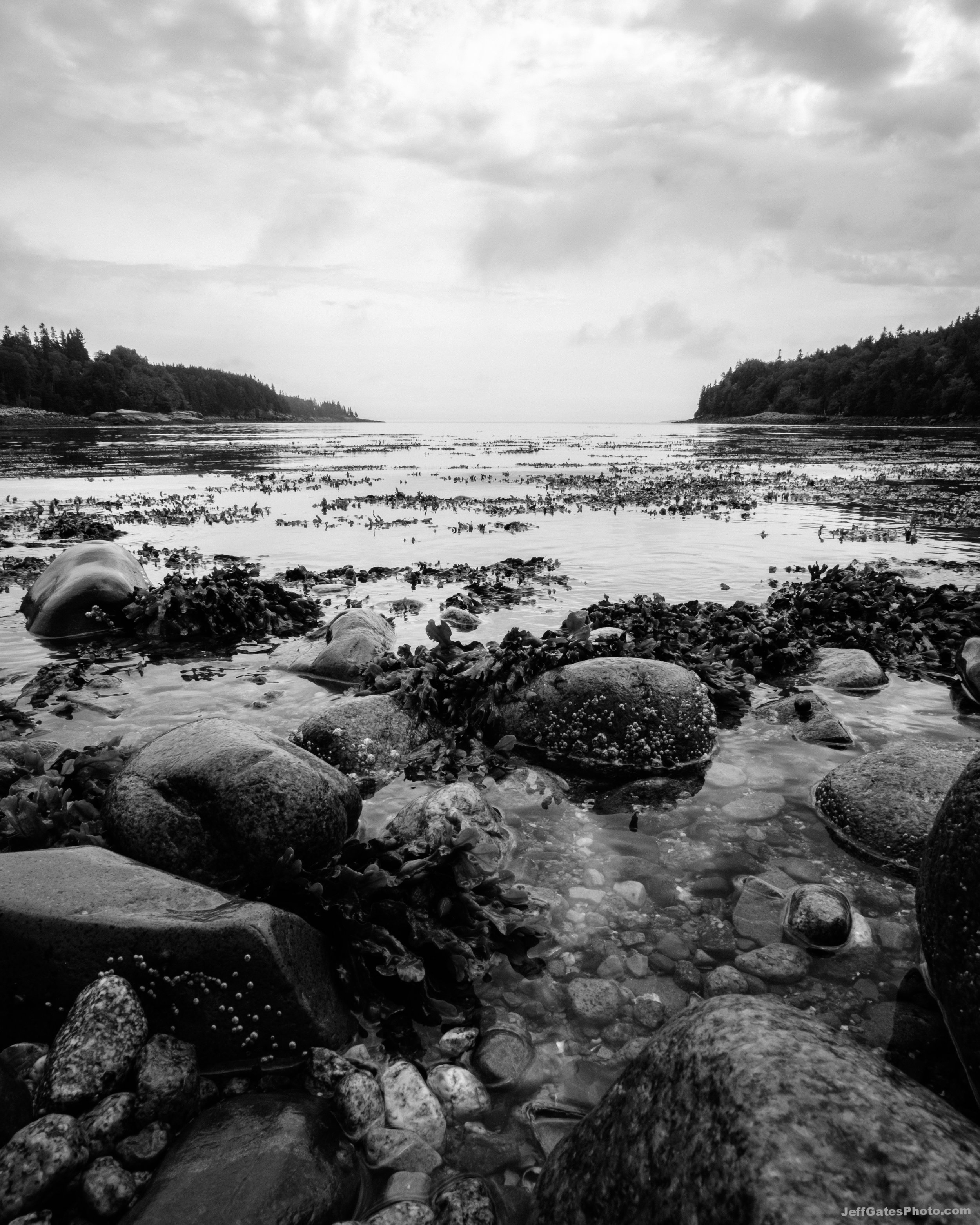 Otter Cove