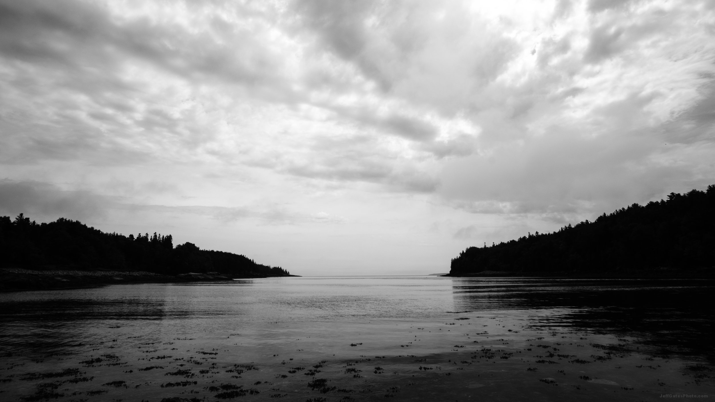Otter Cove