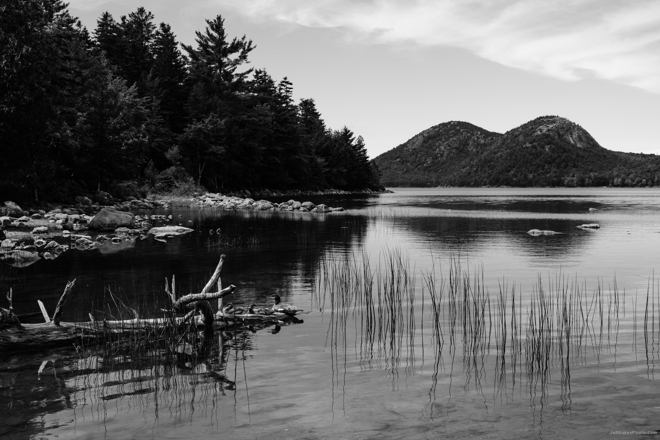 Jordan Pond