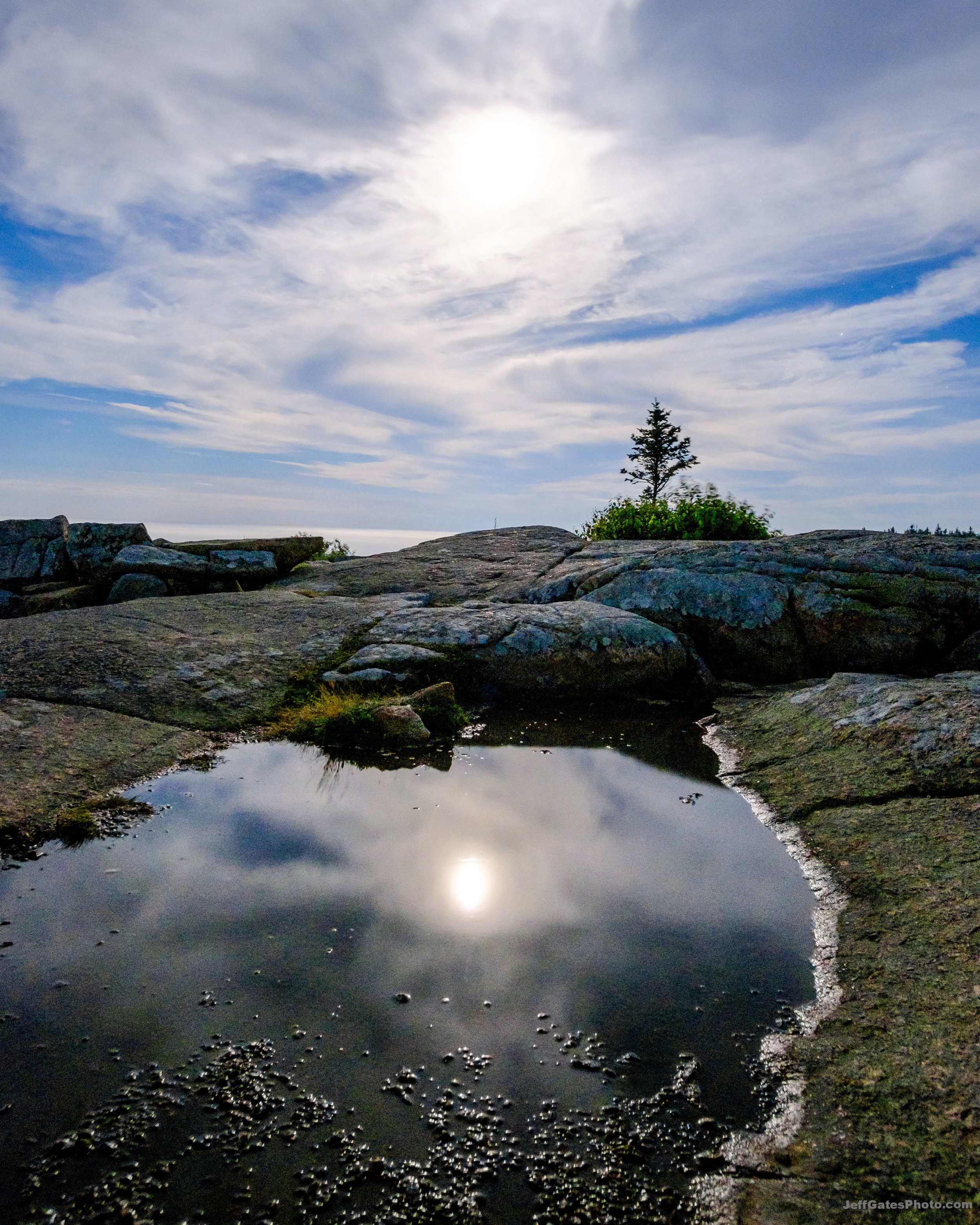 Puddle Moonlight