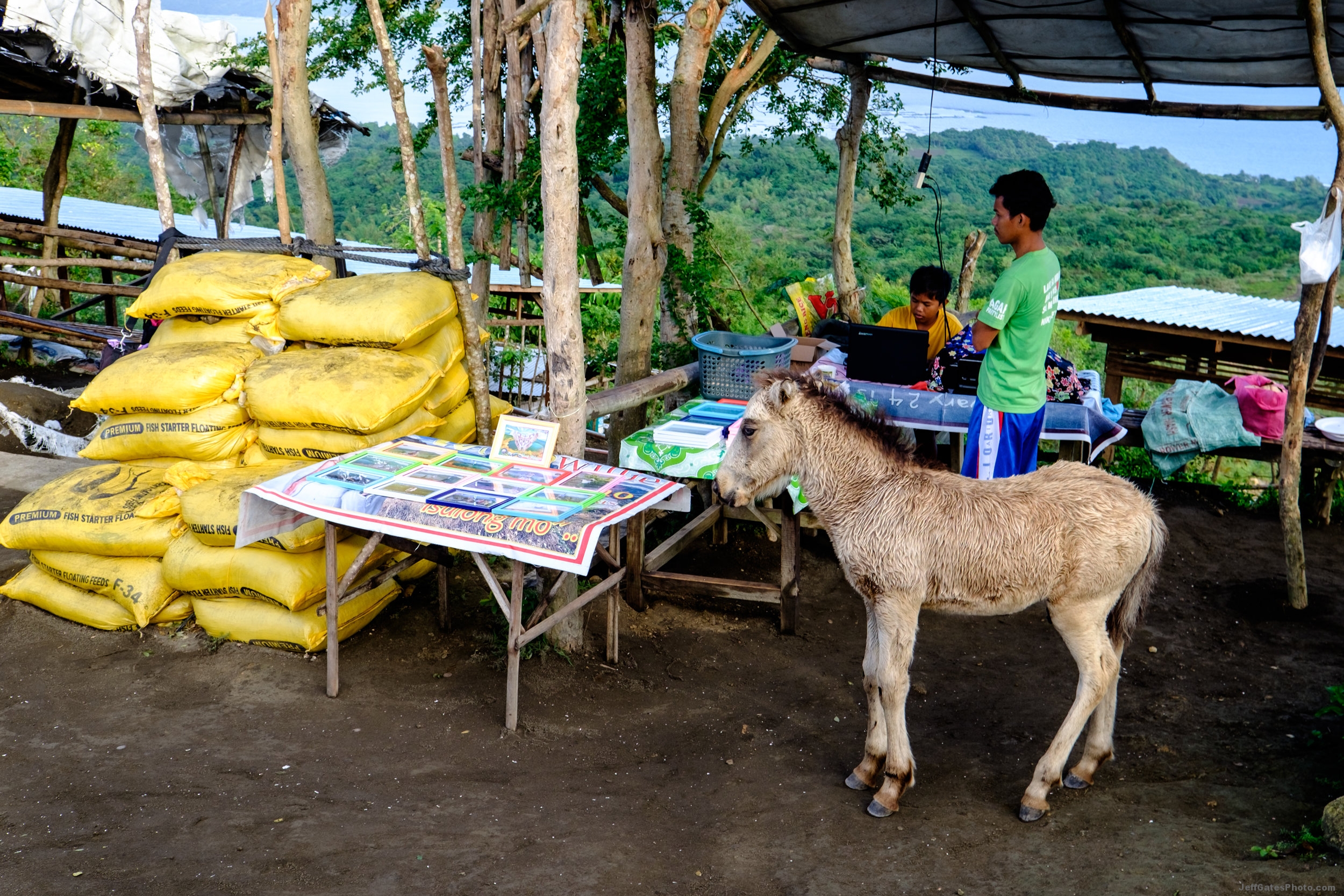 The Village on the Rim of Taal