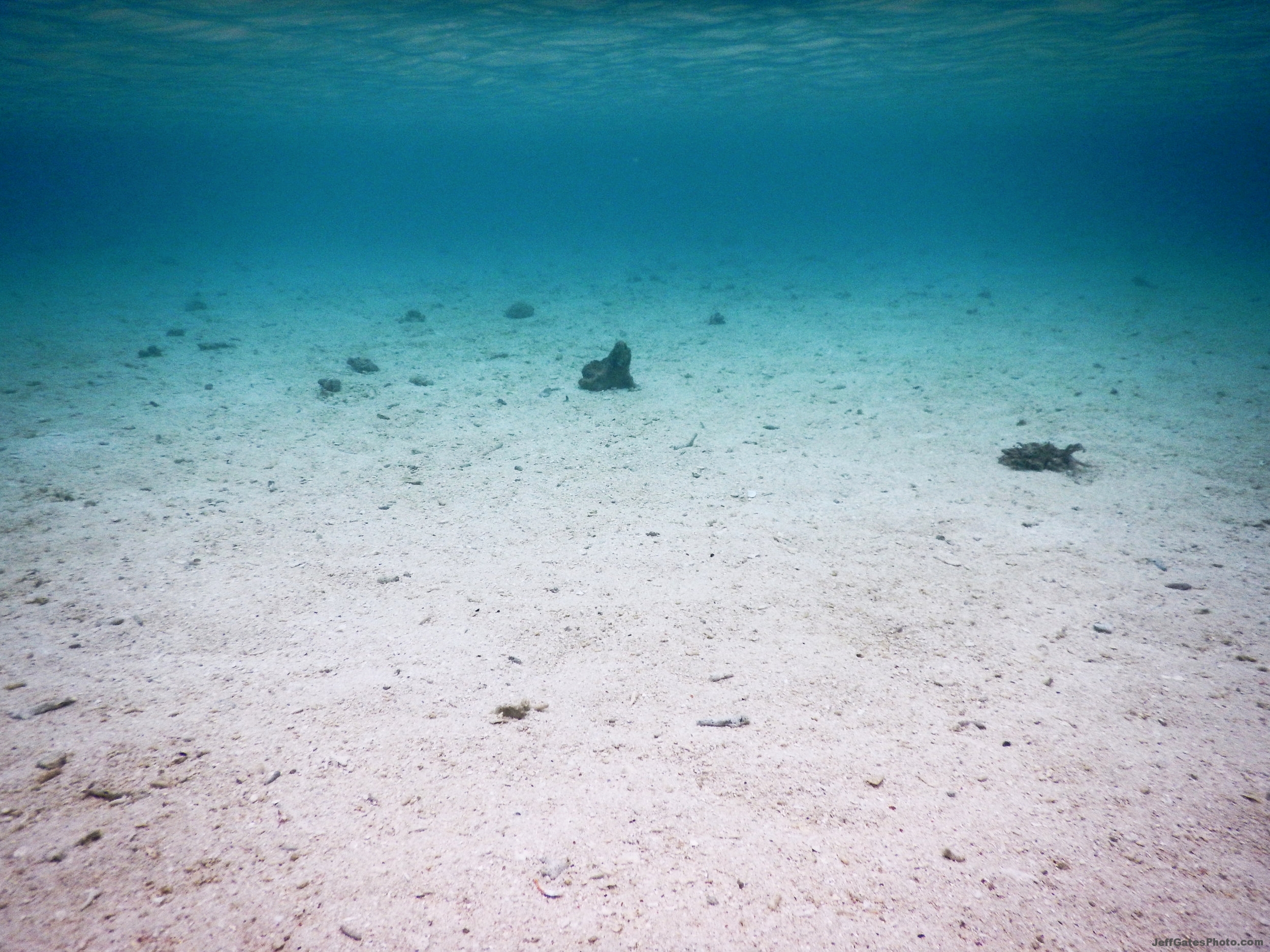 Snorkeling off White Island
