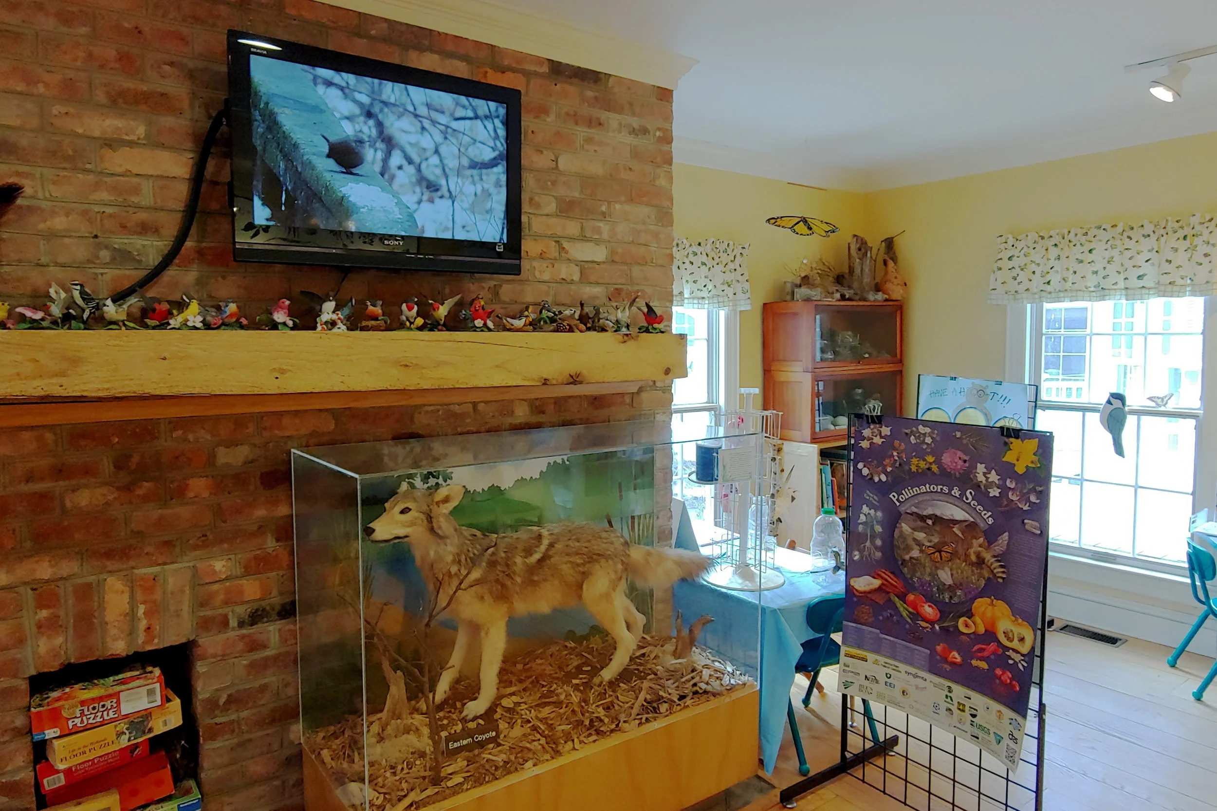 Nature Videos Featured at Great Swamp Visitor Center 
