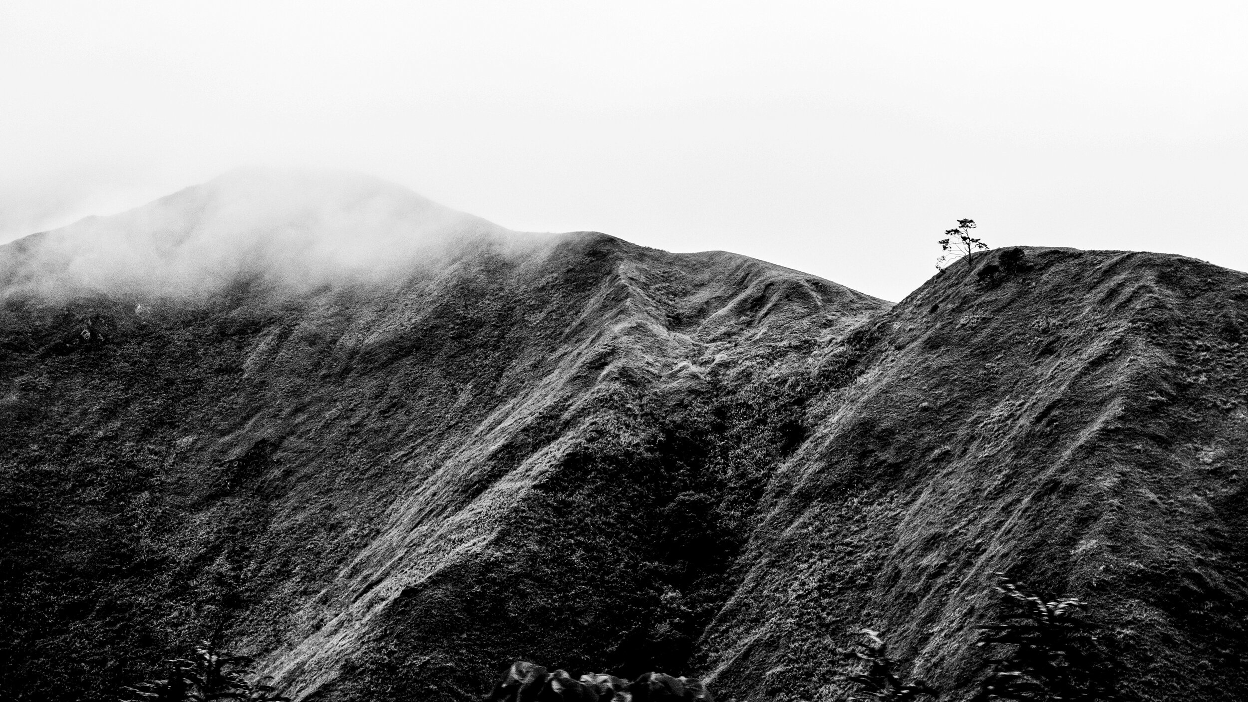 Near Kalinga