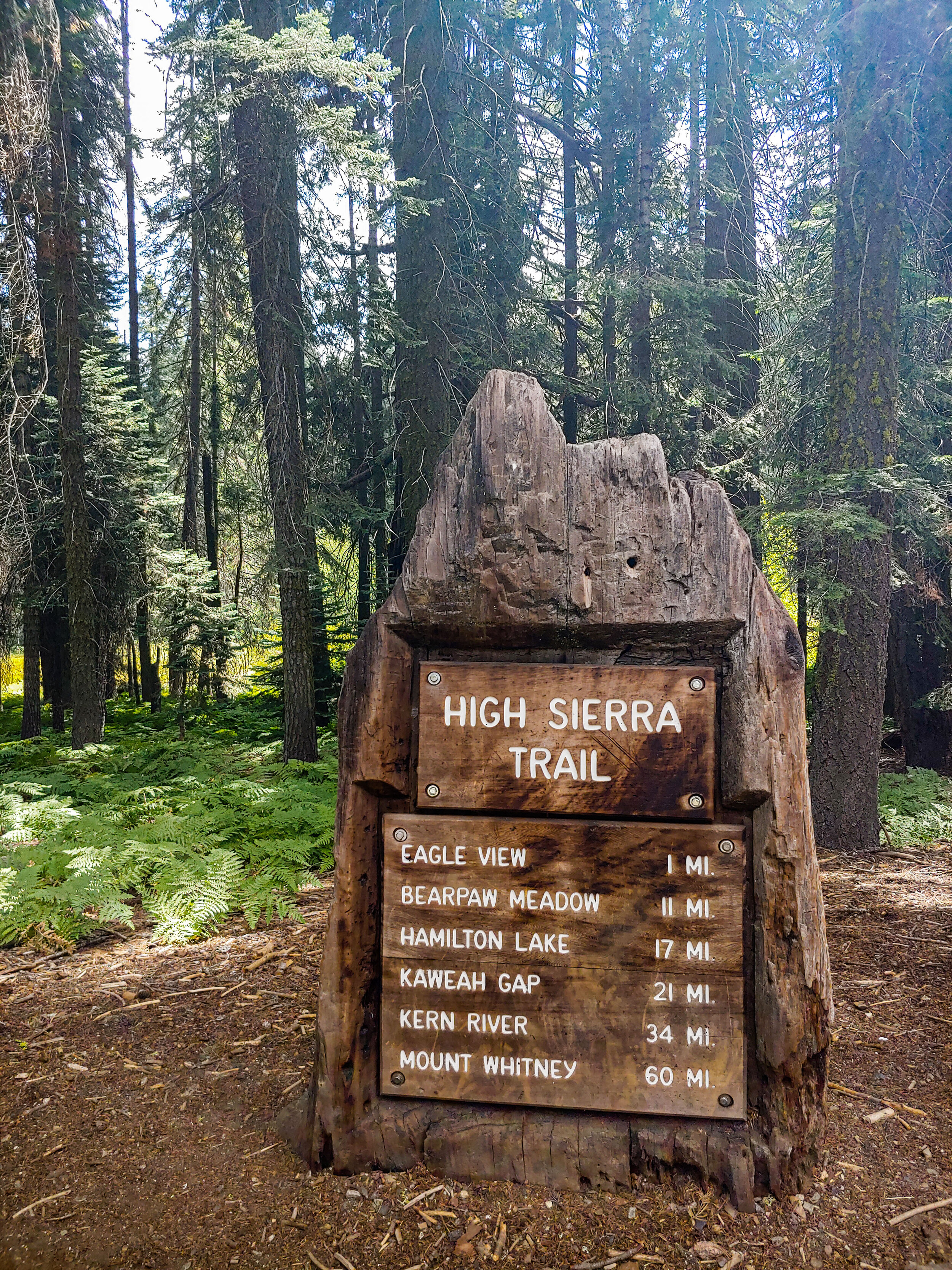 Trail Head