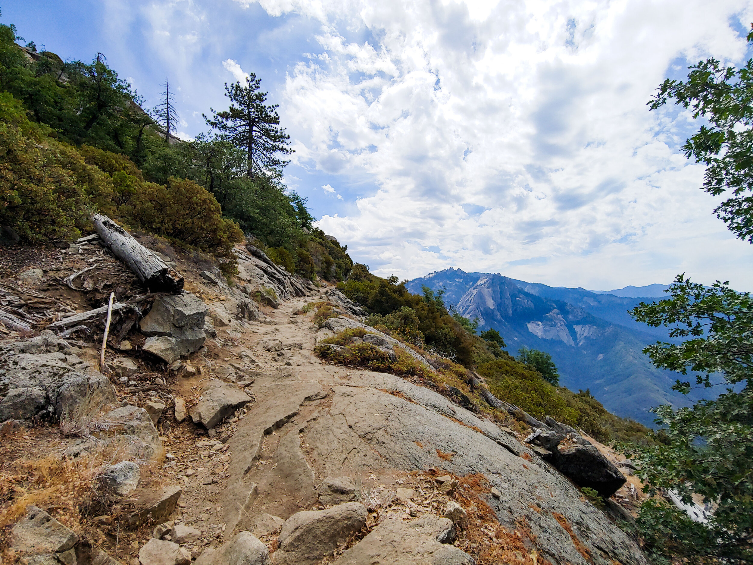 A High Trail