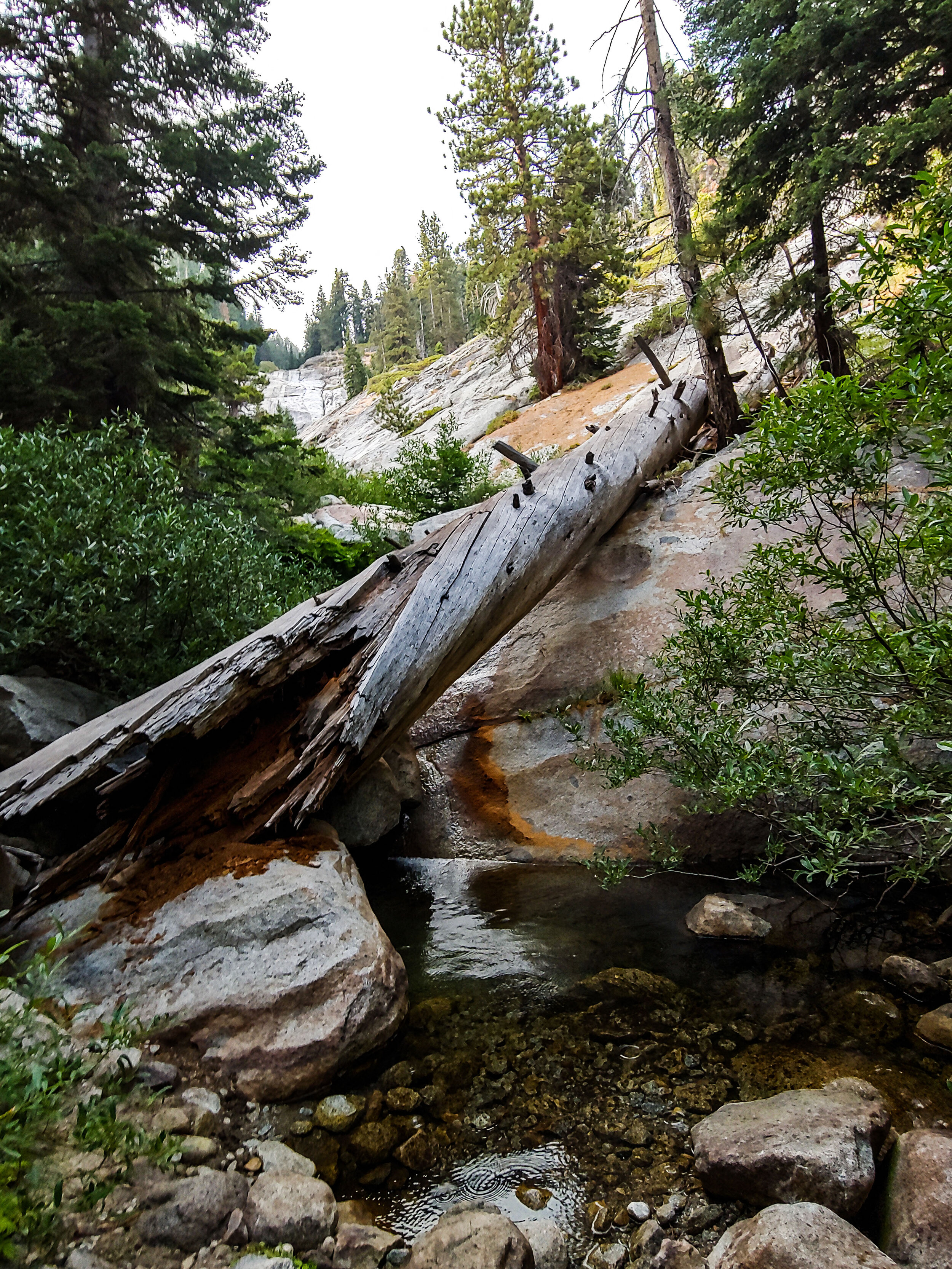 Pool at Nine Mile