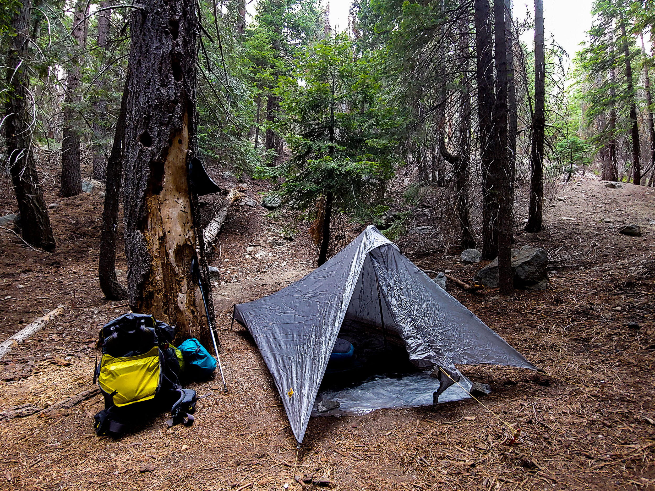 Nine Mile Creek