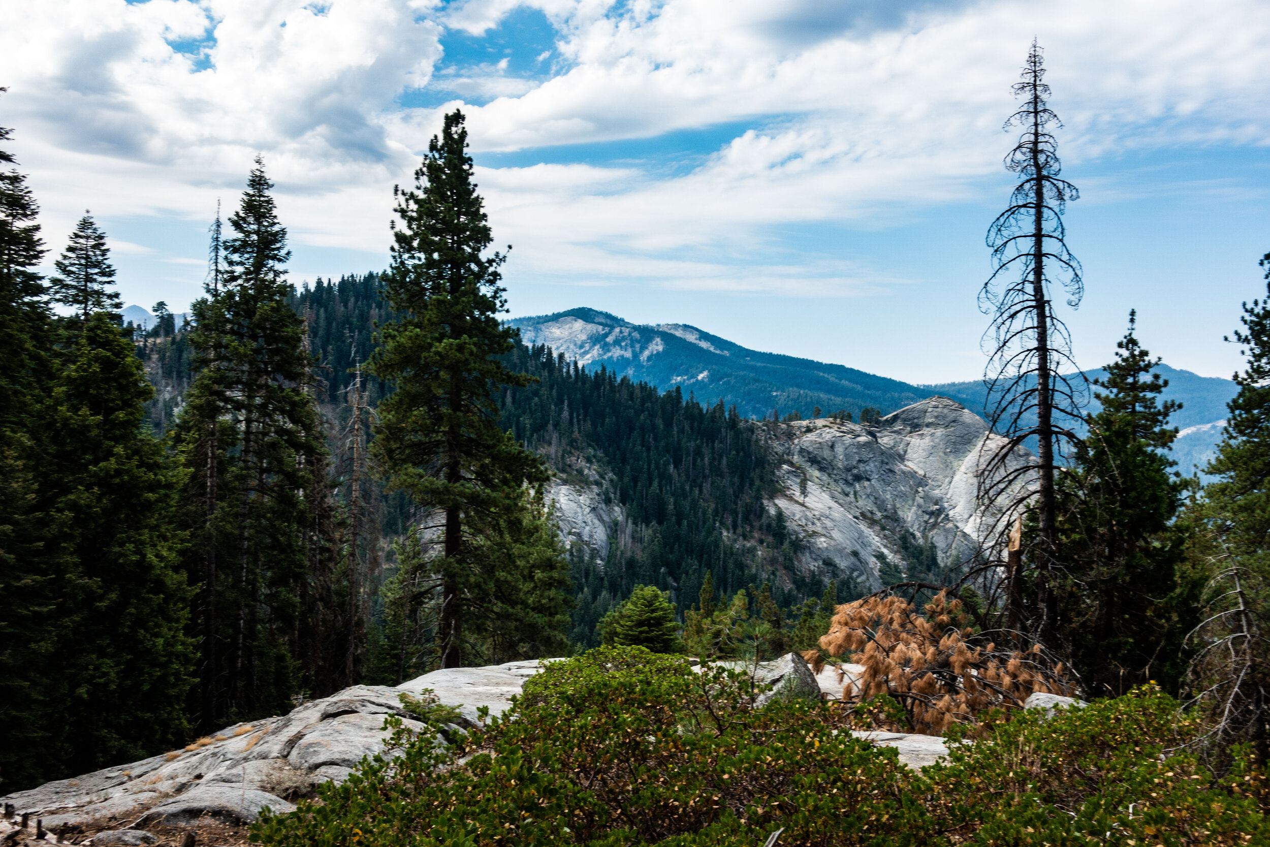Mountain Views