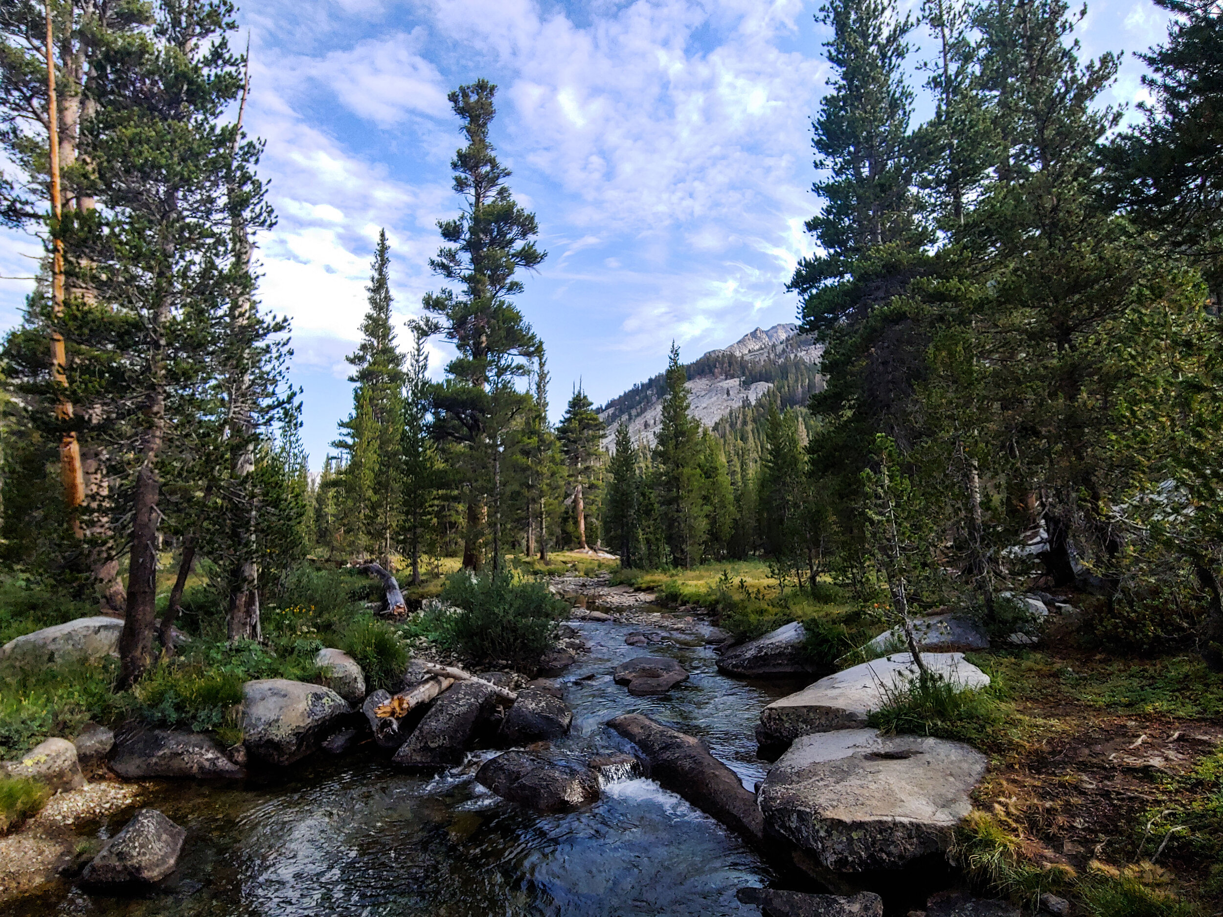 Morning at Big Arroyo