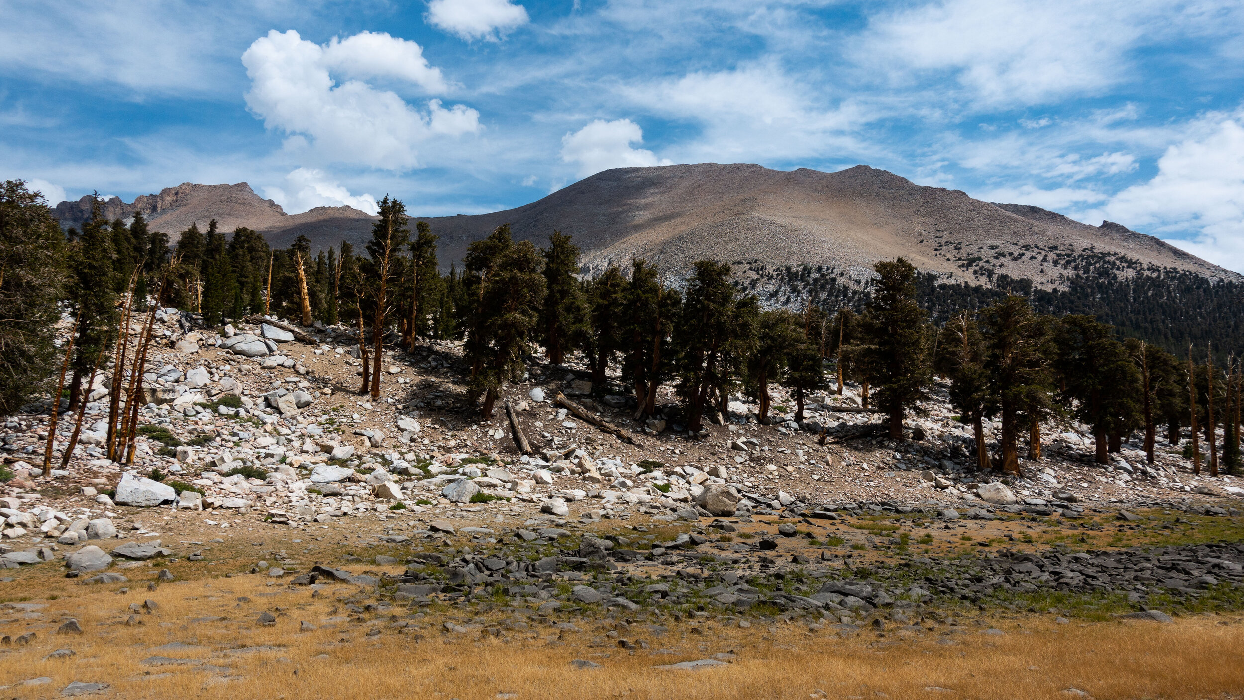 Trail to Moraine
