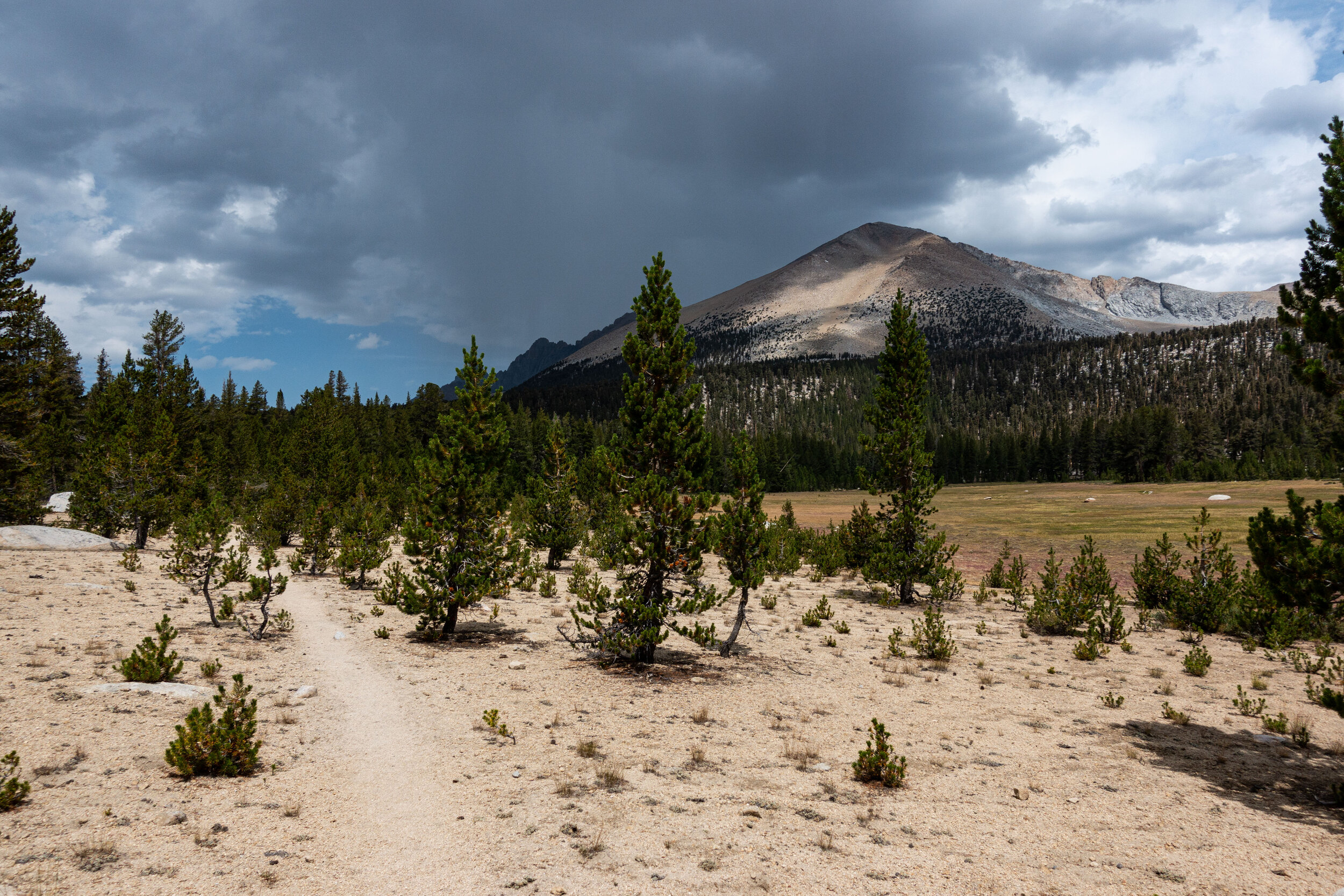 Sandy Trail