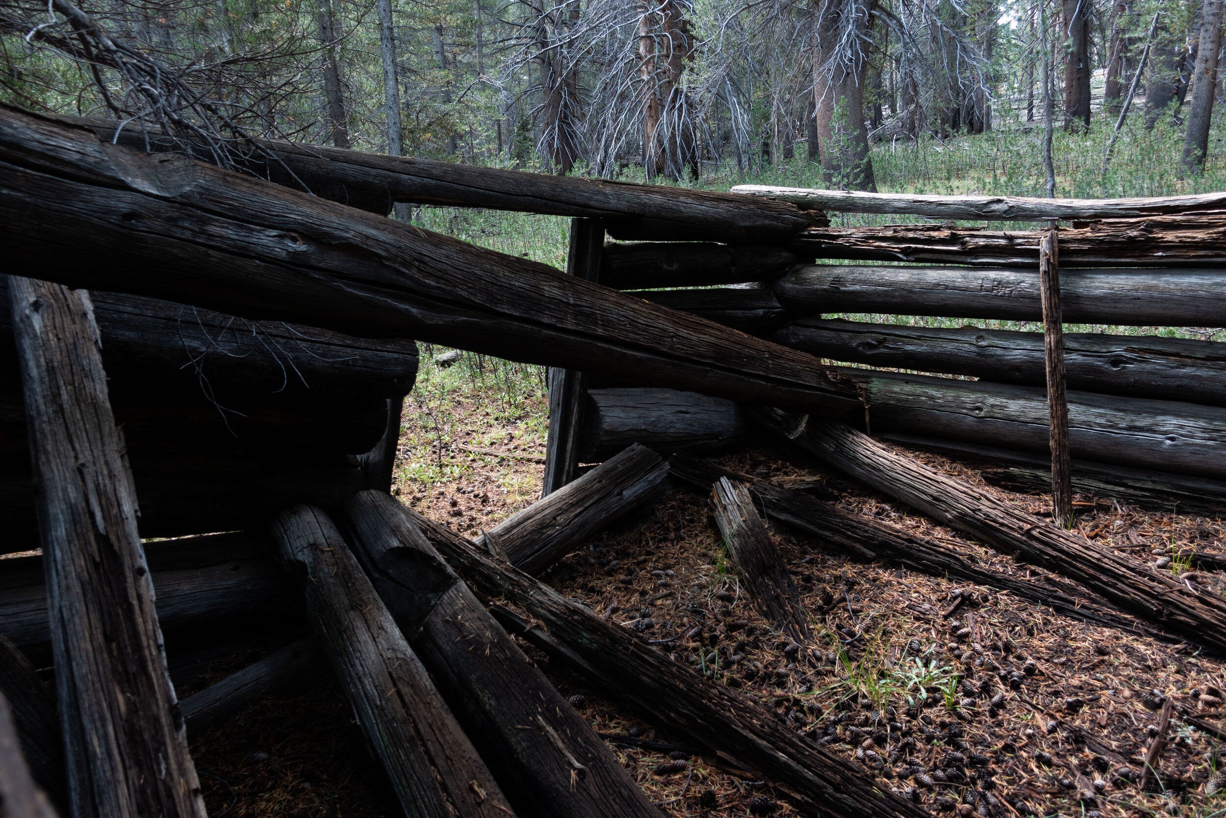 Dilapidated Cabin