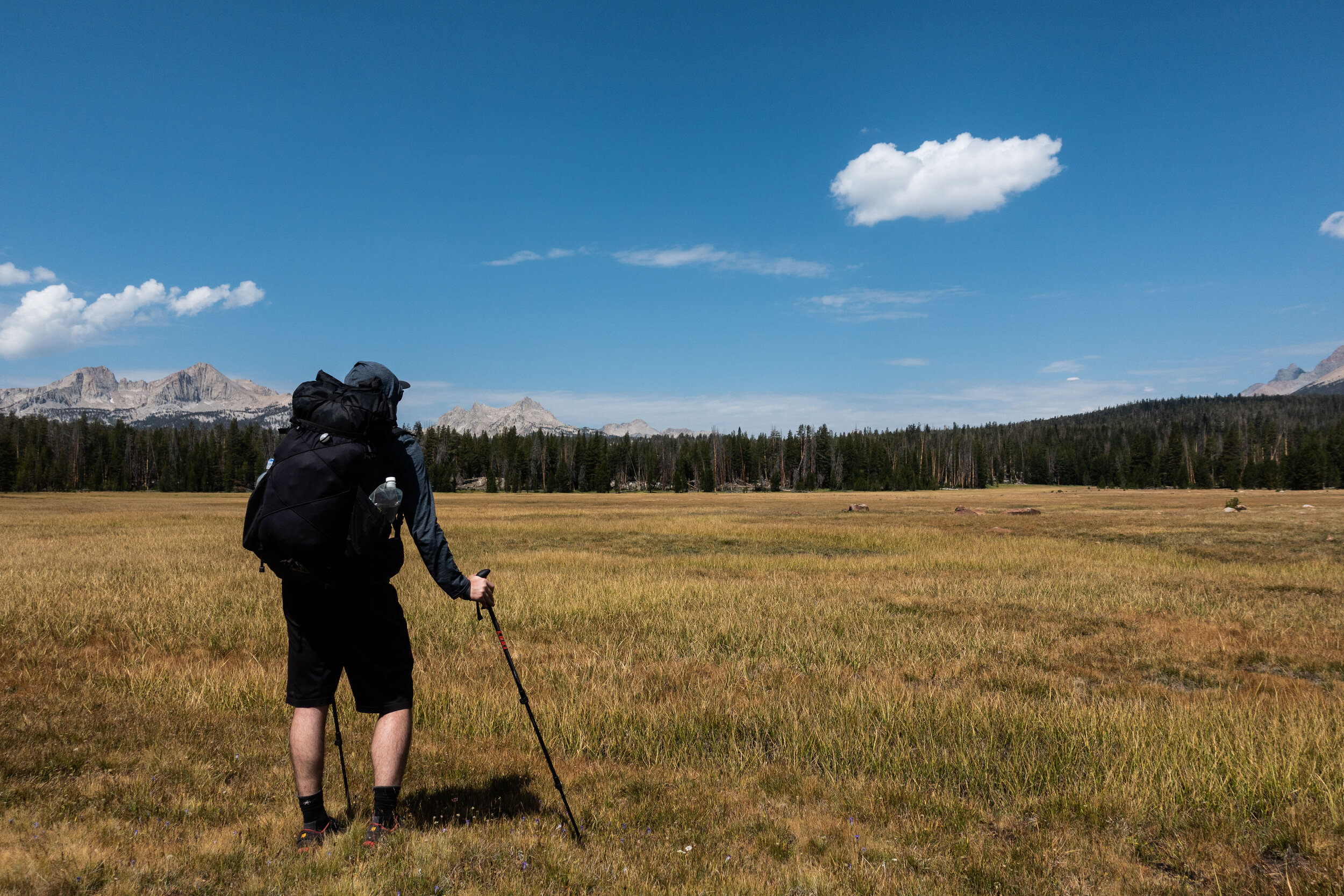 Sky Parlor Meadow