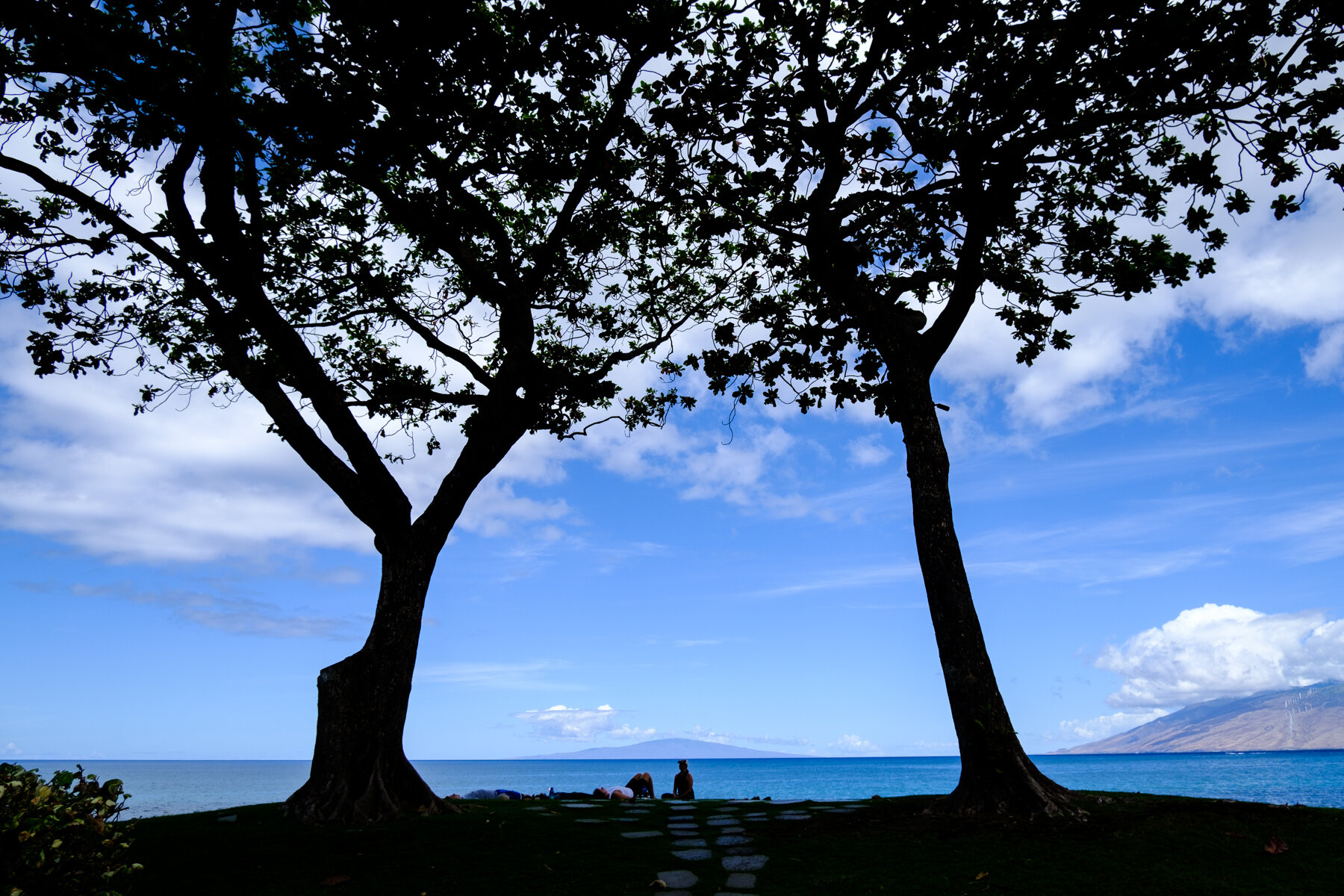 MAUI2021-6.jpg
